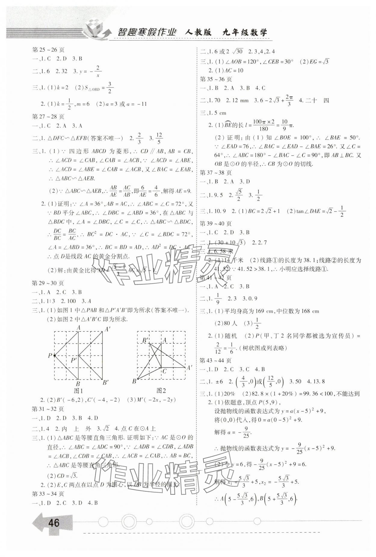 2025年智趣寒假作业九年级数学人教版 第2页