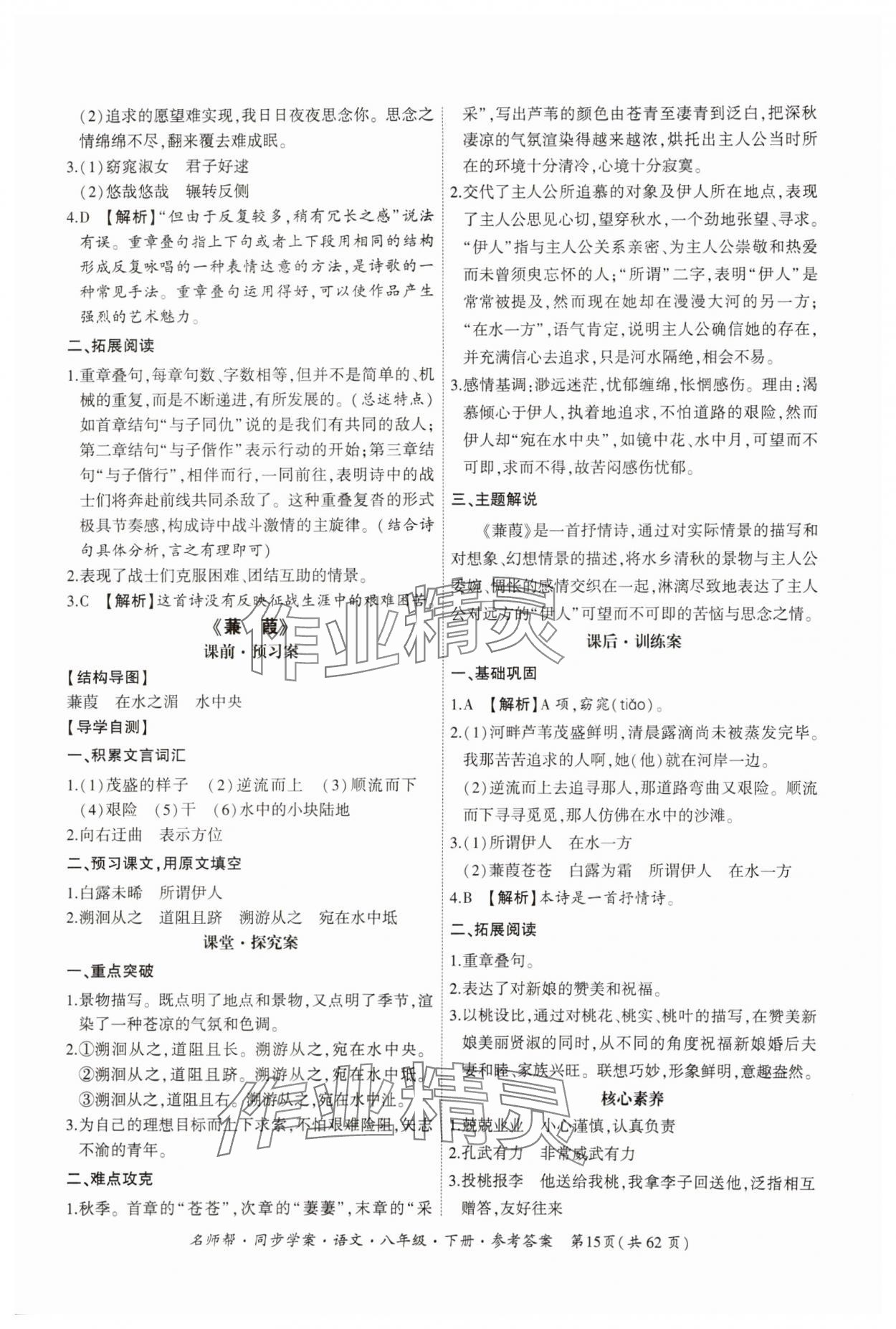 2025年名師幫同步學(xué)案八年級(jí)語文下冊(cè)人教版 第15頁