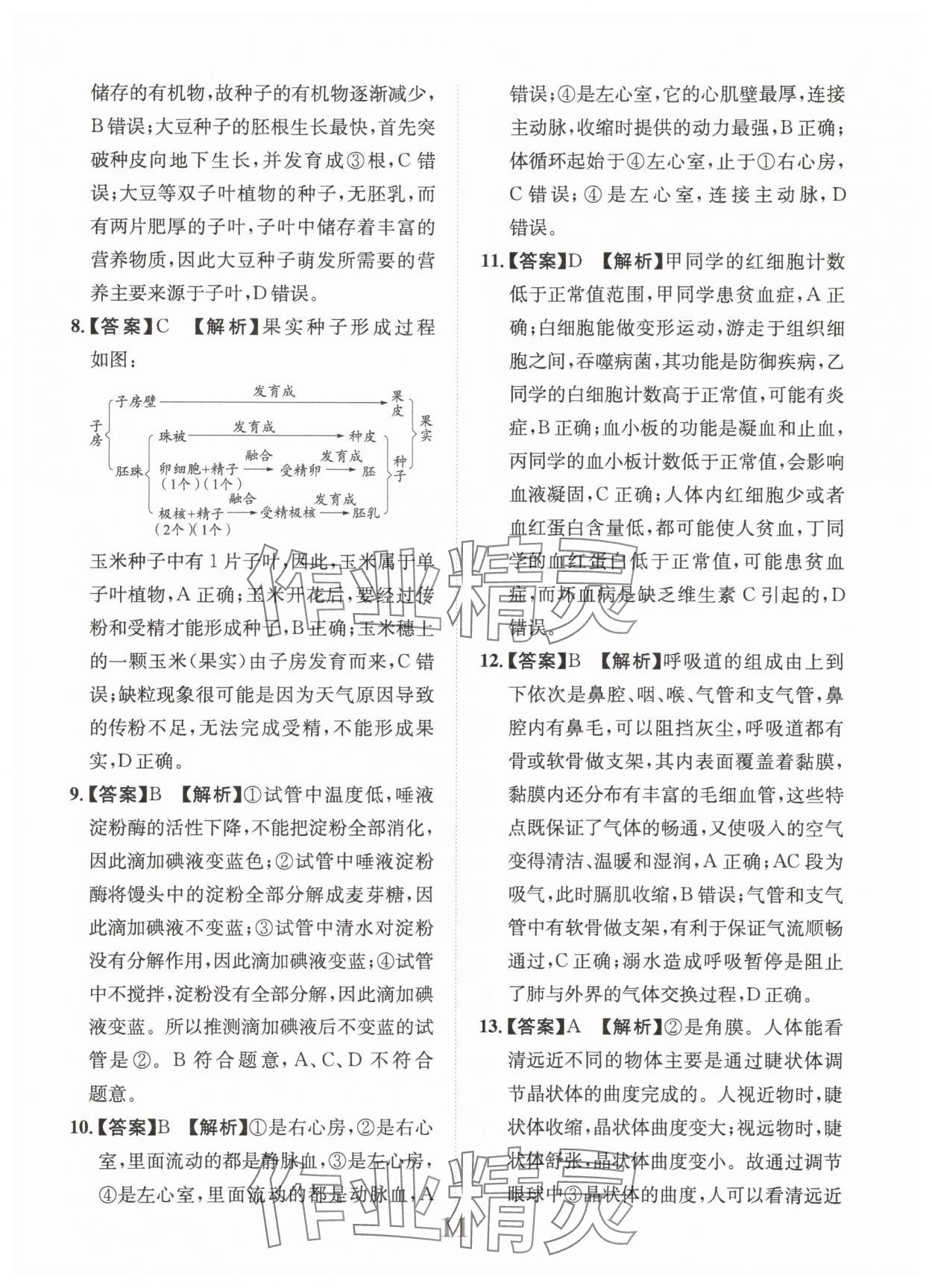 2025年金卷1號中考模擬仿真卷生物中考成都專版 第11頁