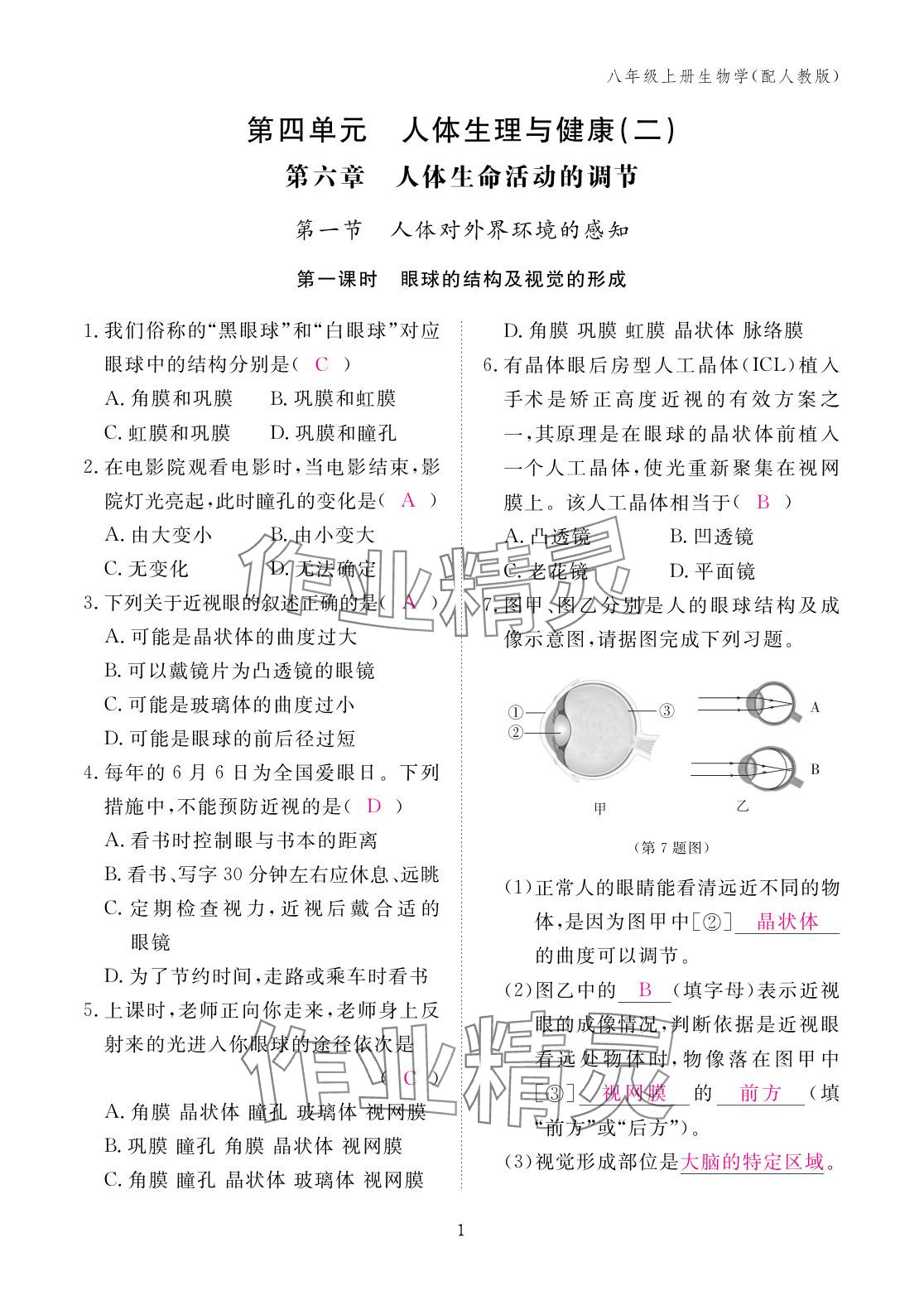 2025年作业本江西教育出版社八年级生物上册人教版 参考答案第1页
