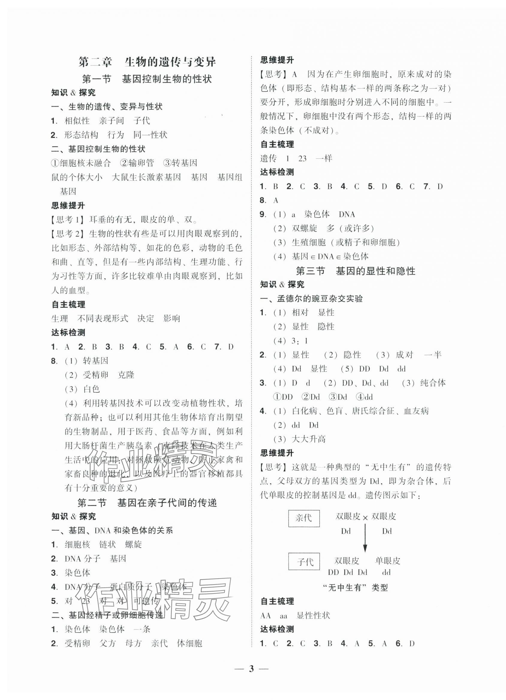 2025年南粵學(xué)典學(xué)考精練八年級(jí)生物下冊(cè)人教版 第3頁