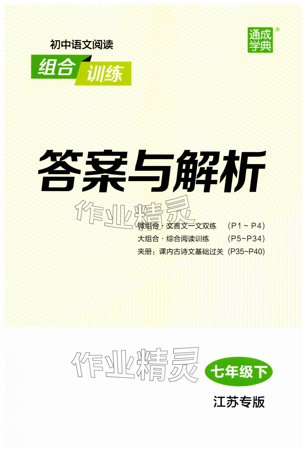 2025年通城學(xué)典組合訓(xùn)練七年級(jí)語文下冊江蘇專版 第1頁