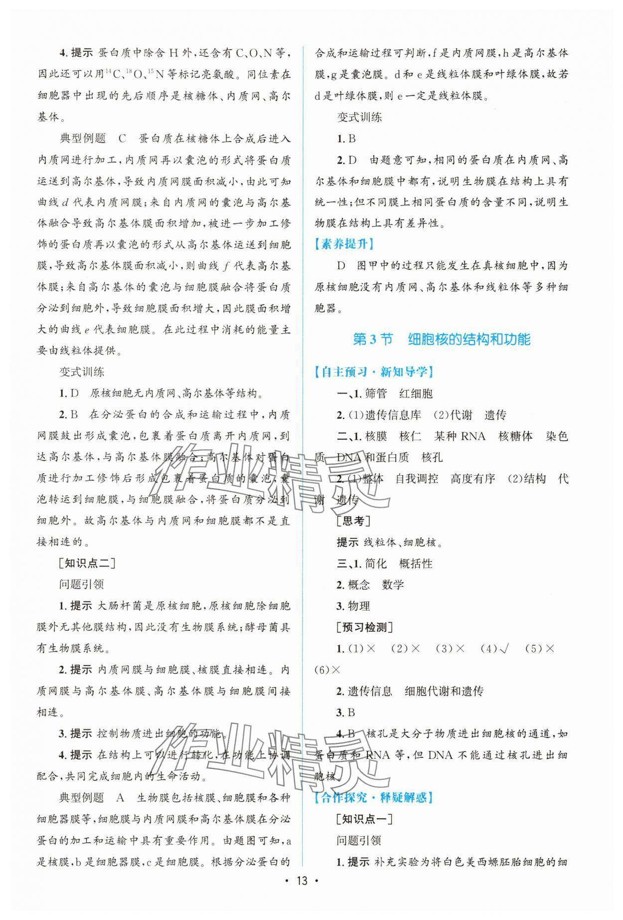 2025年高中同步測控優(yōu)化設(shè)計（分子與細(xì)胞）高中生物必修1人教版增強(qiáng)版 參考答案第12頁