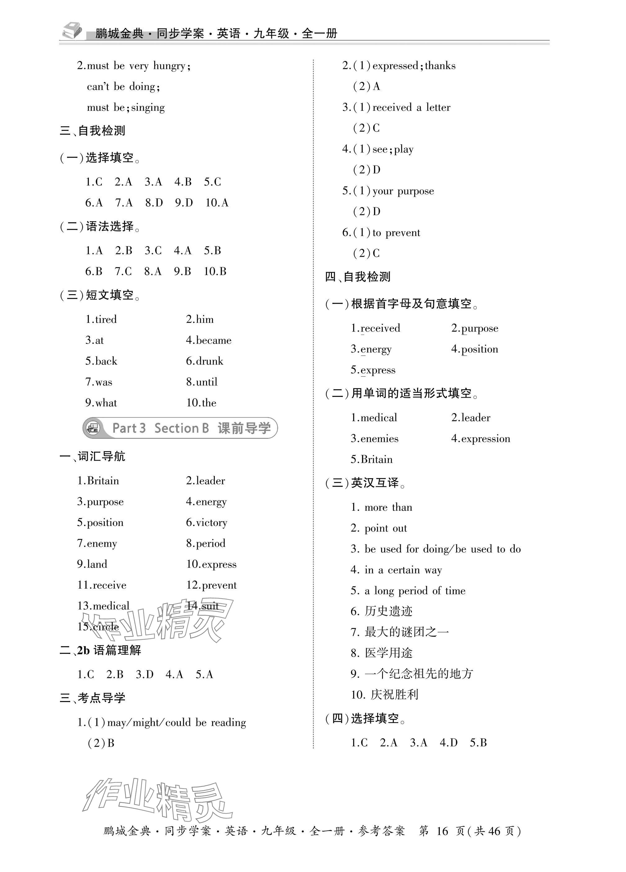 2025年名师帮同步学案九年级英语全一册人教版&nbsp;参考答案第16页