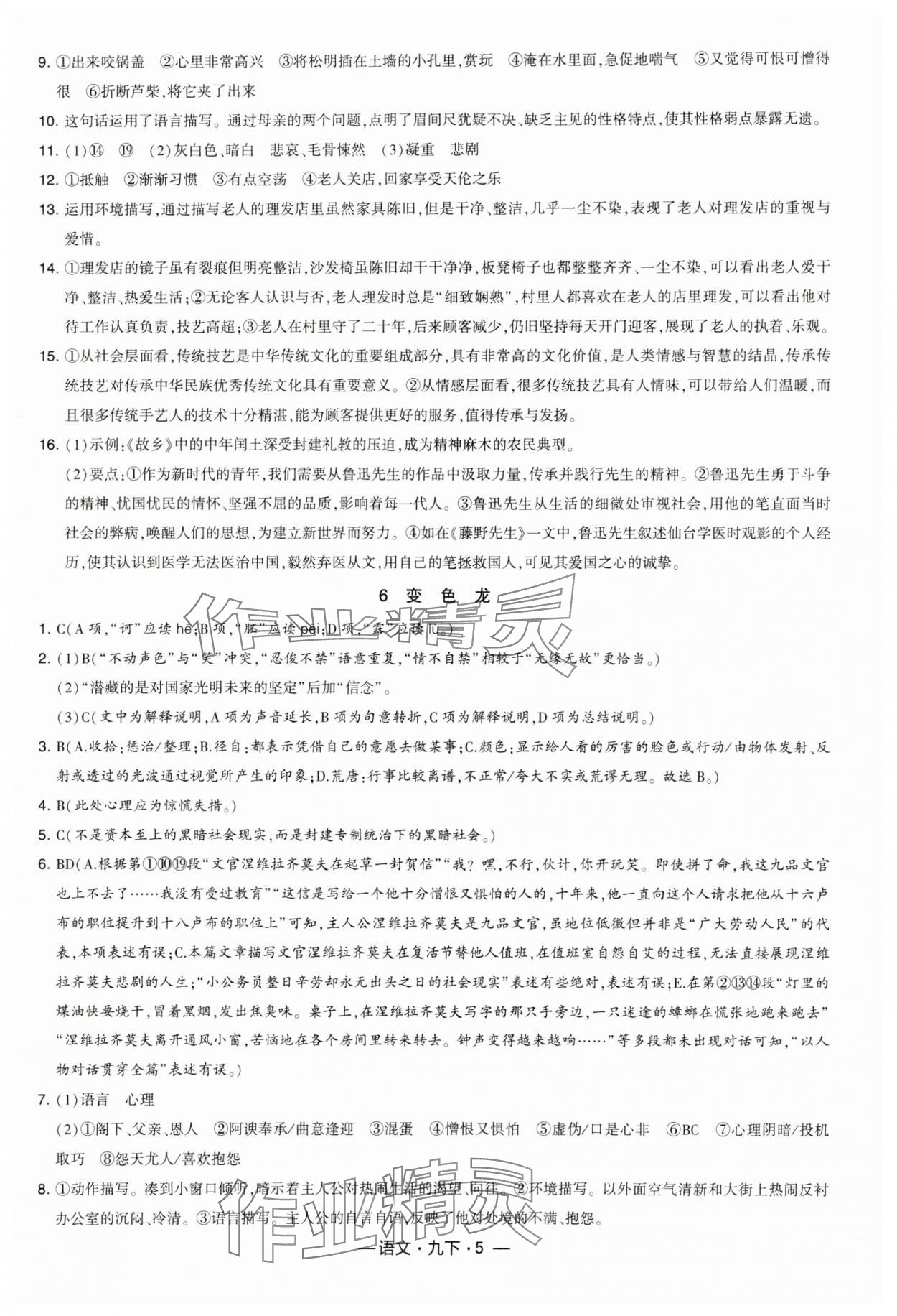 2025年經(jīng)綸學(xué)典課時(shí)作業(yè)九年級語文下冊人教版 第5頁