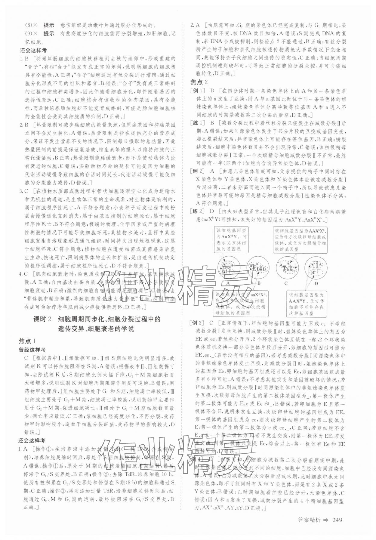 2025年創(chuàng)新設(shè)計二輪專題復(fù)習(xí)生物 參考答案第10頁