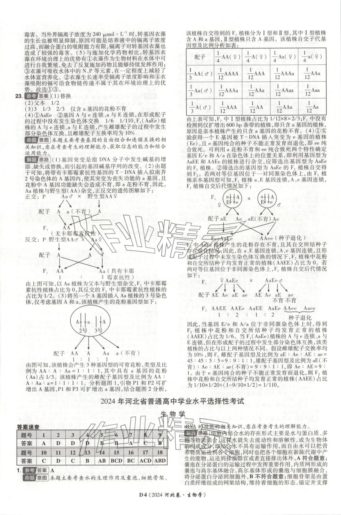 2026年新高考5年真题生物河北专版 第4页