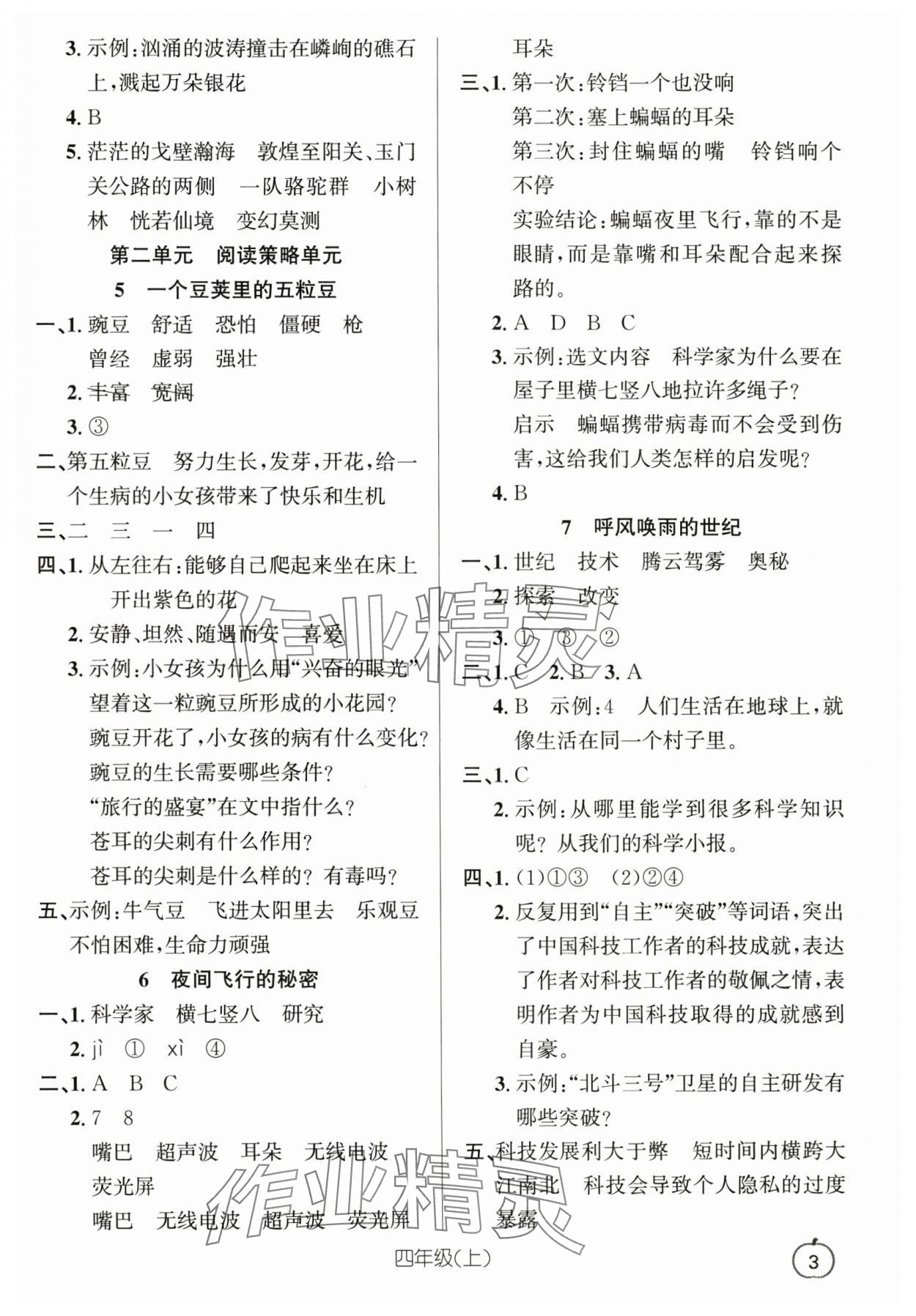 2025年语文要素天天练四年级上册浙江专版 参考答案第3页