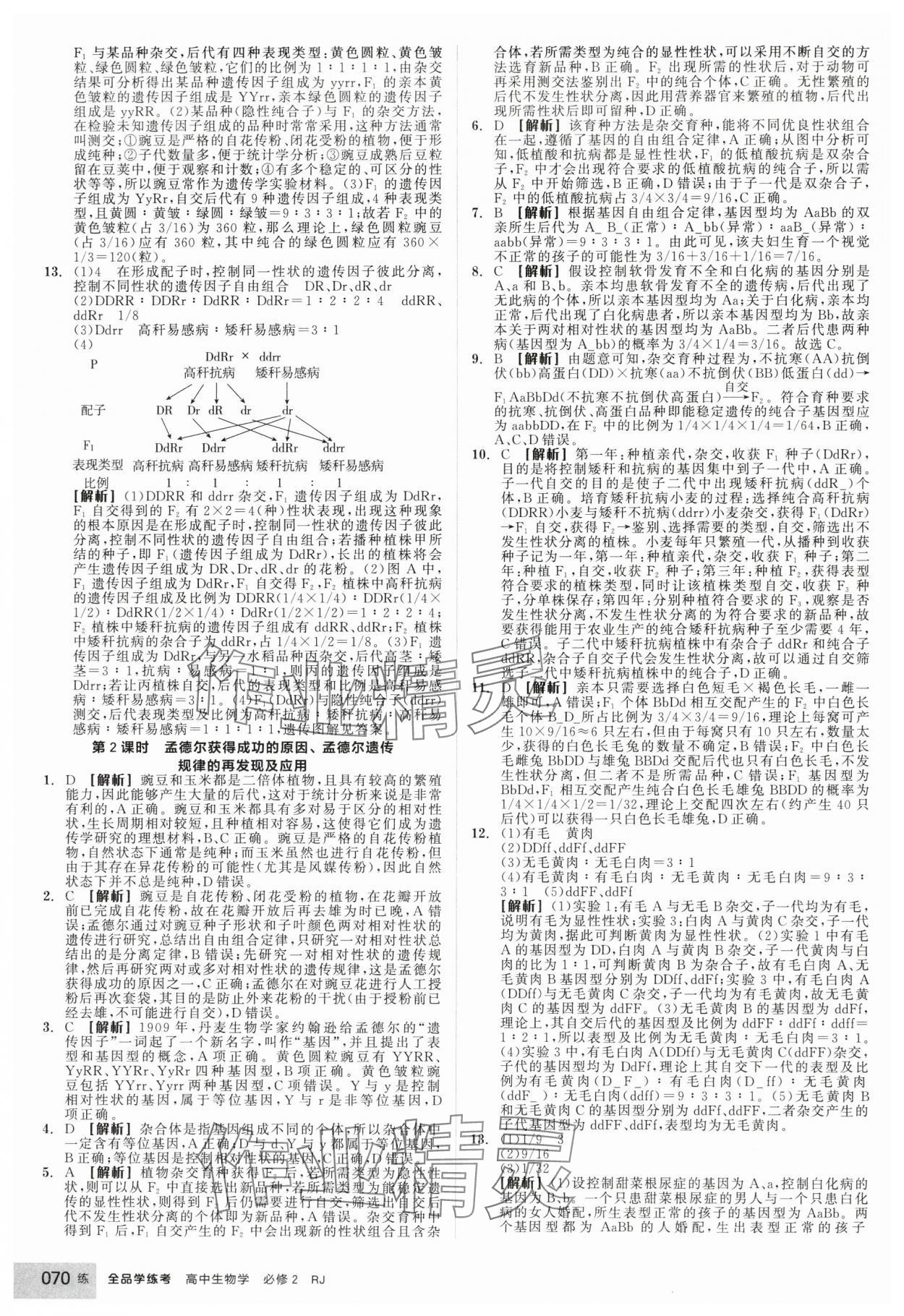2025年全品学练考高中生物必修2人教版 第4页