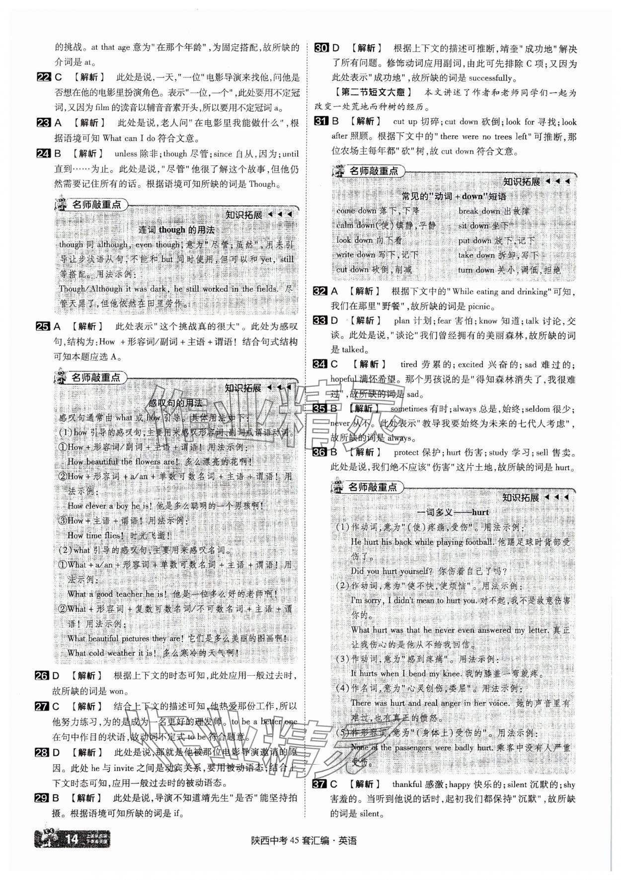 2025年金考卷45套匯編英語(yǔ)陜西專版 參考答案第14頁(yè)