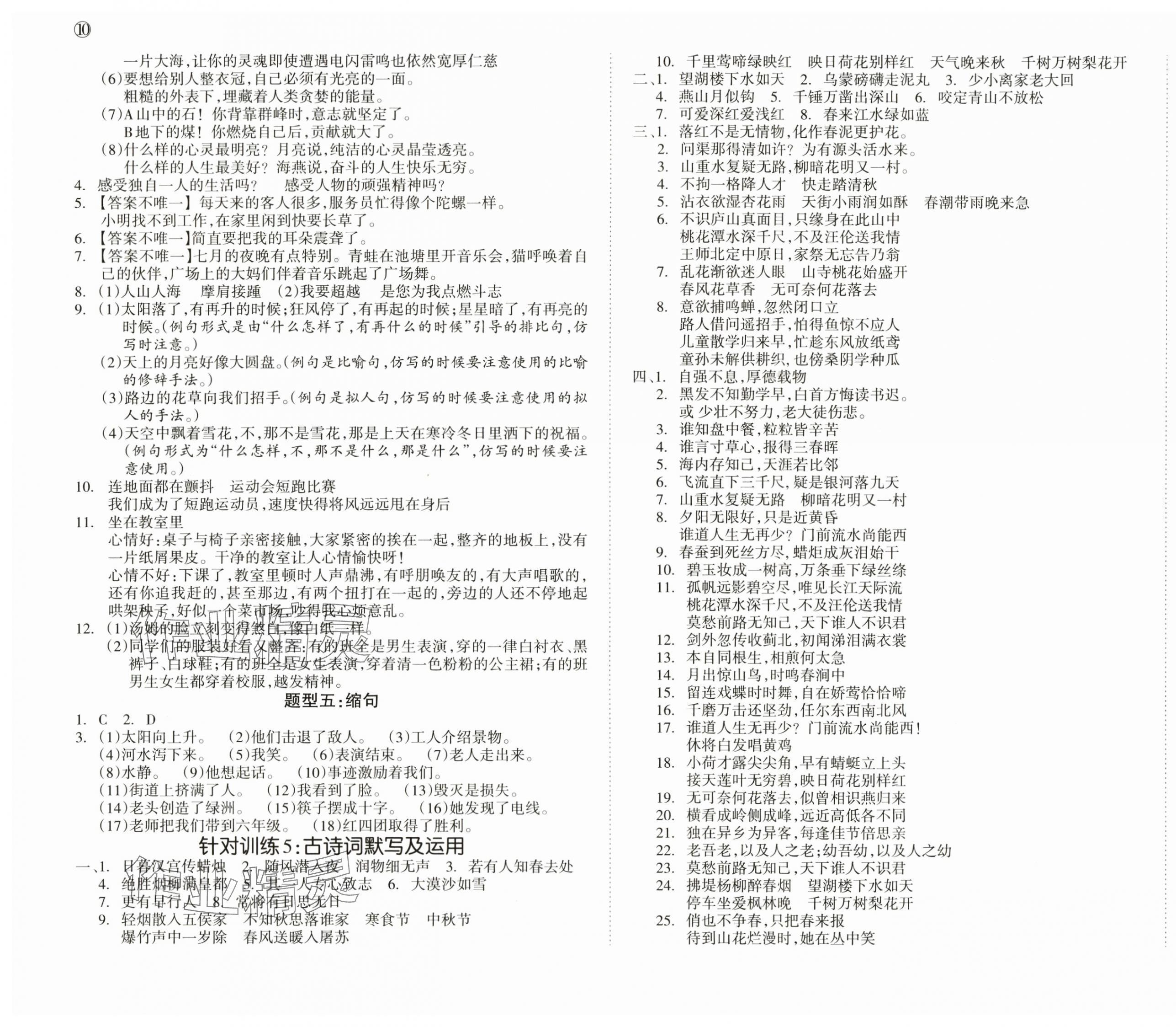 2024年狀元坊小學(xué)畢業(yè)總復(fù)習(xí)語文順德專版 第3頁