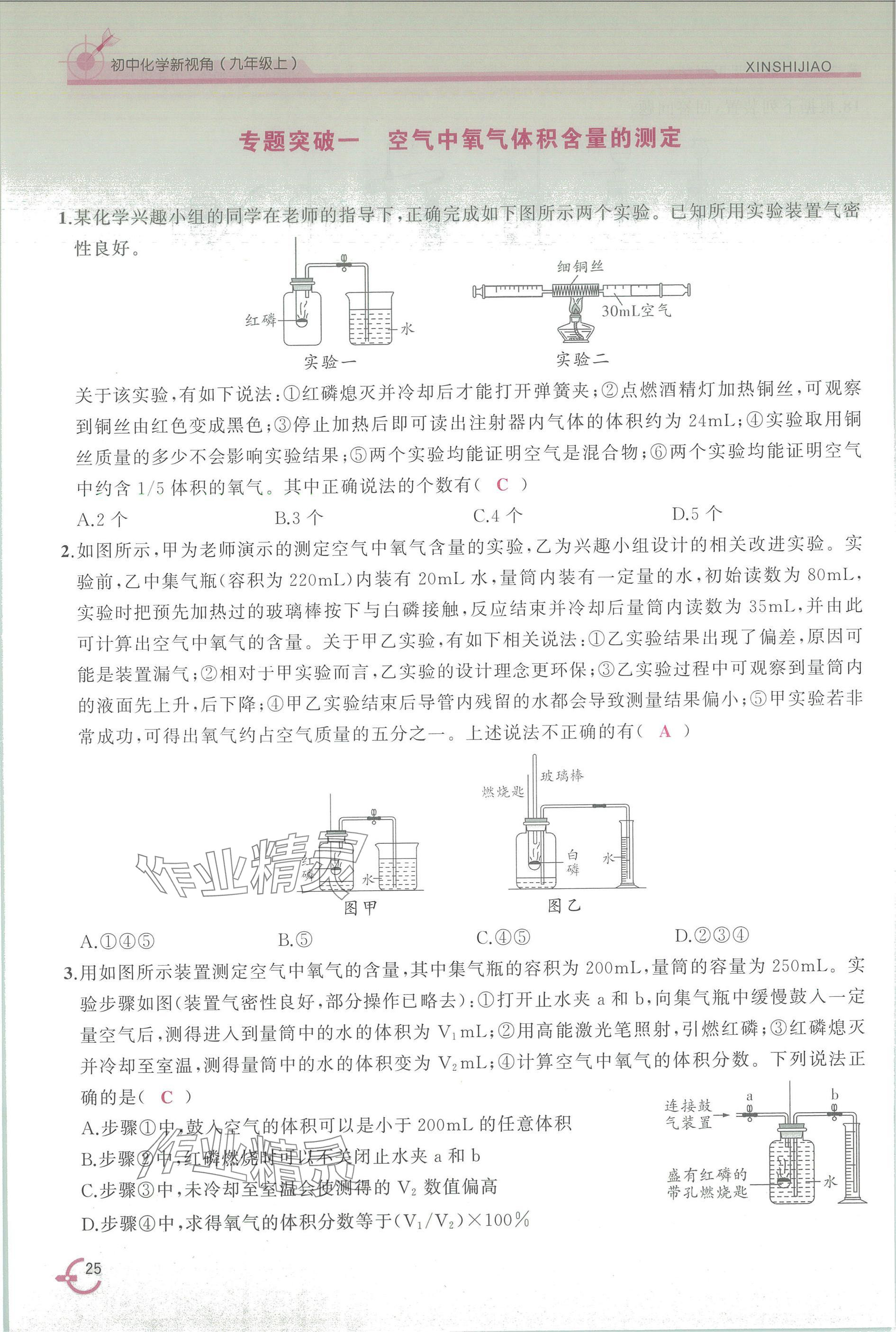 2025年新视角教辅系列丛书九年级化学上册人教版 参考答案第25页