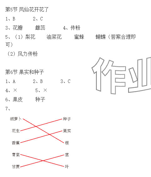 2024年科學(xué)課課練四年級下冊教科版 參考答案第3頁