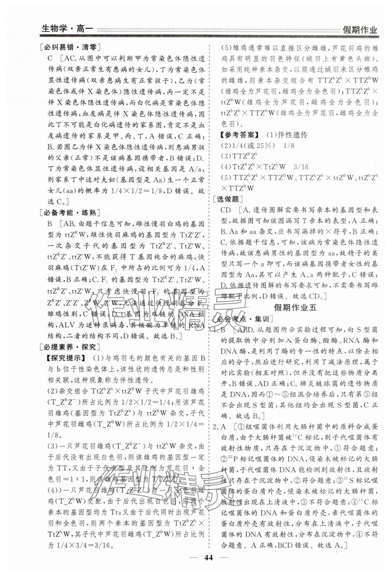 2025年衡水名师新作假期作业高一生物 第6页