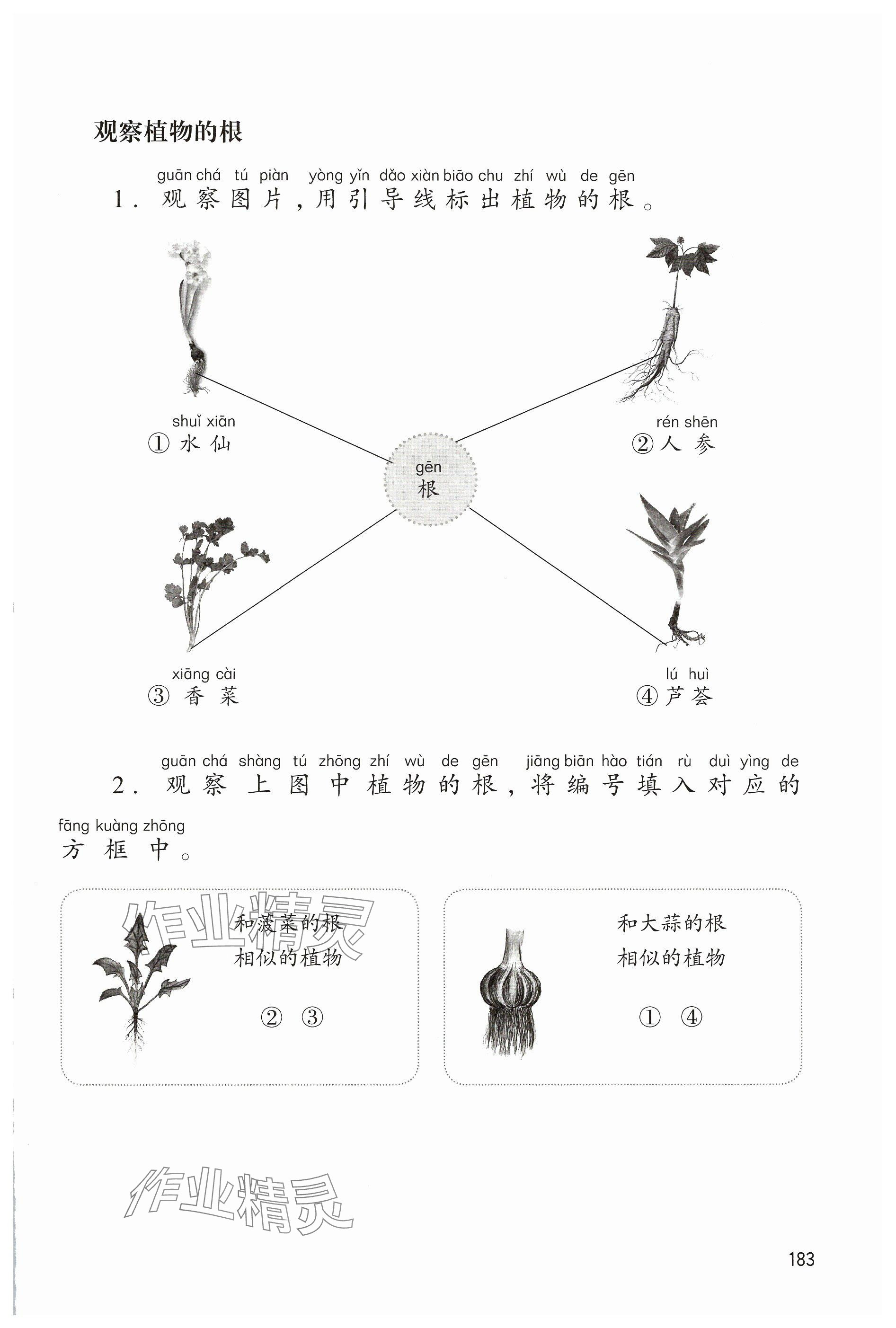 2025年科学活动手册一年级科学下册沪教版五四制&nbsp;参考答案第6页