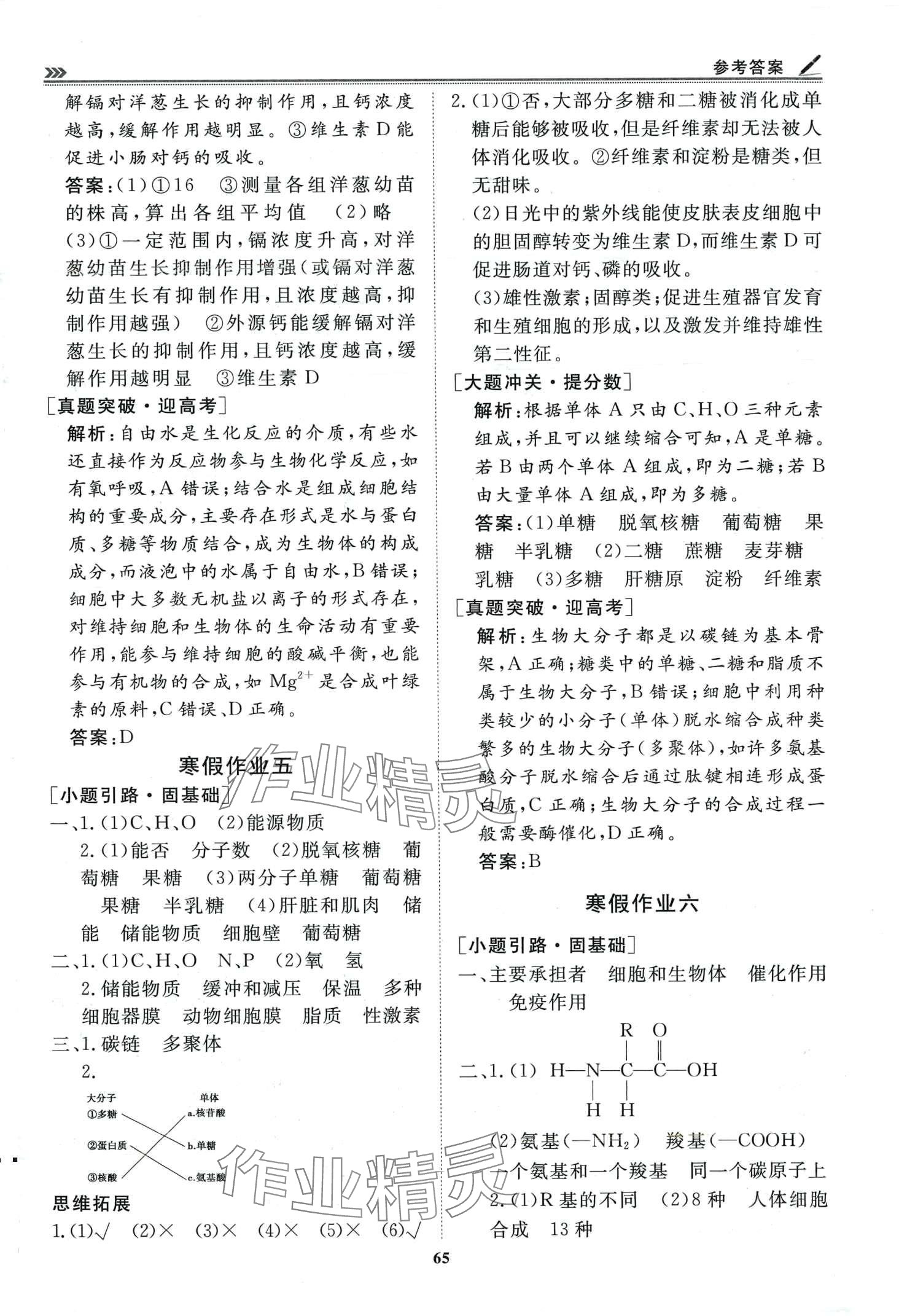 2024年假期必刷題天津科學(xué)技術(shù)出版社高一生物 第3頁