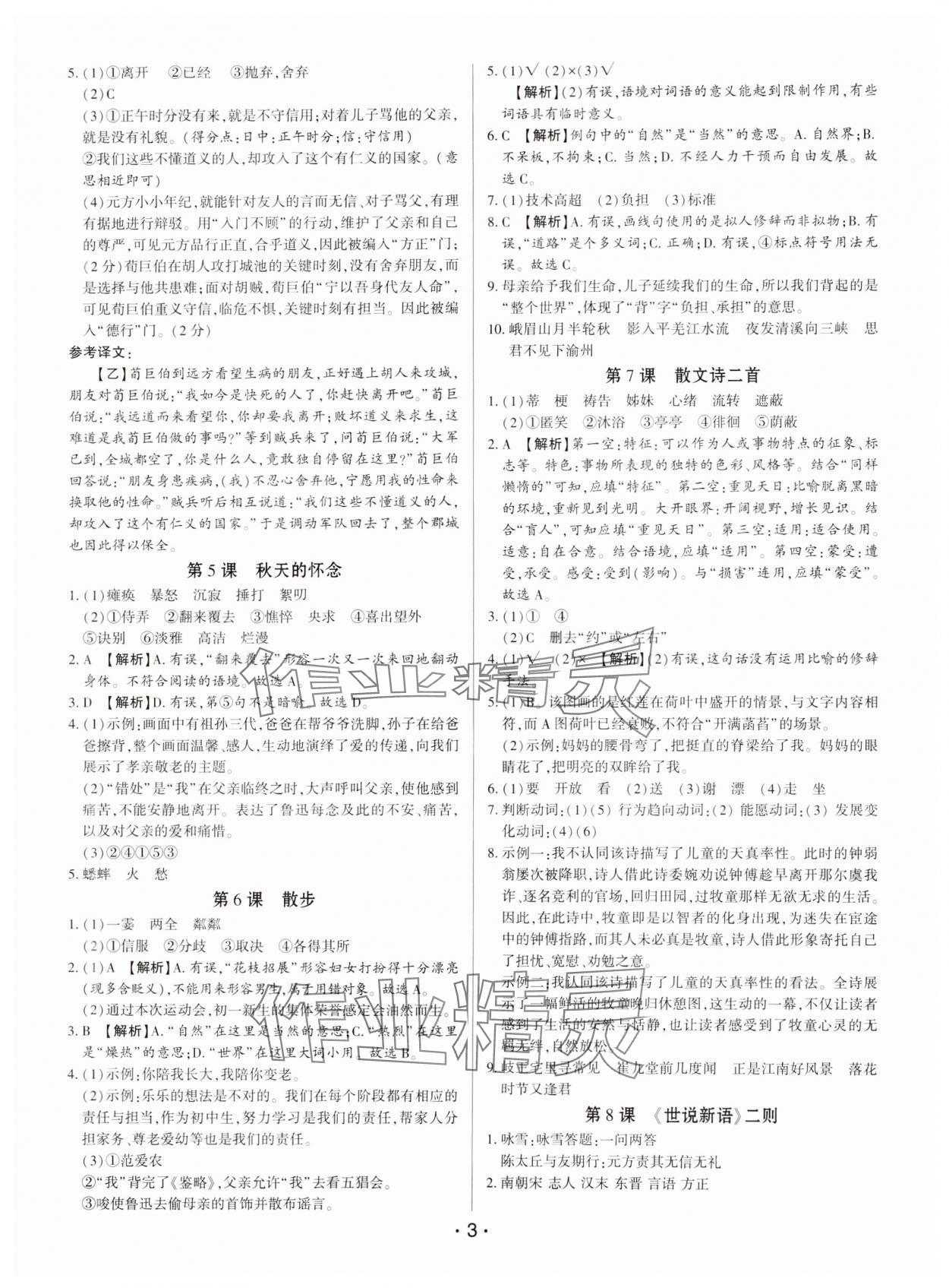 2024年基础精练七年级语文上册人教版深圳专版 第3页