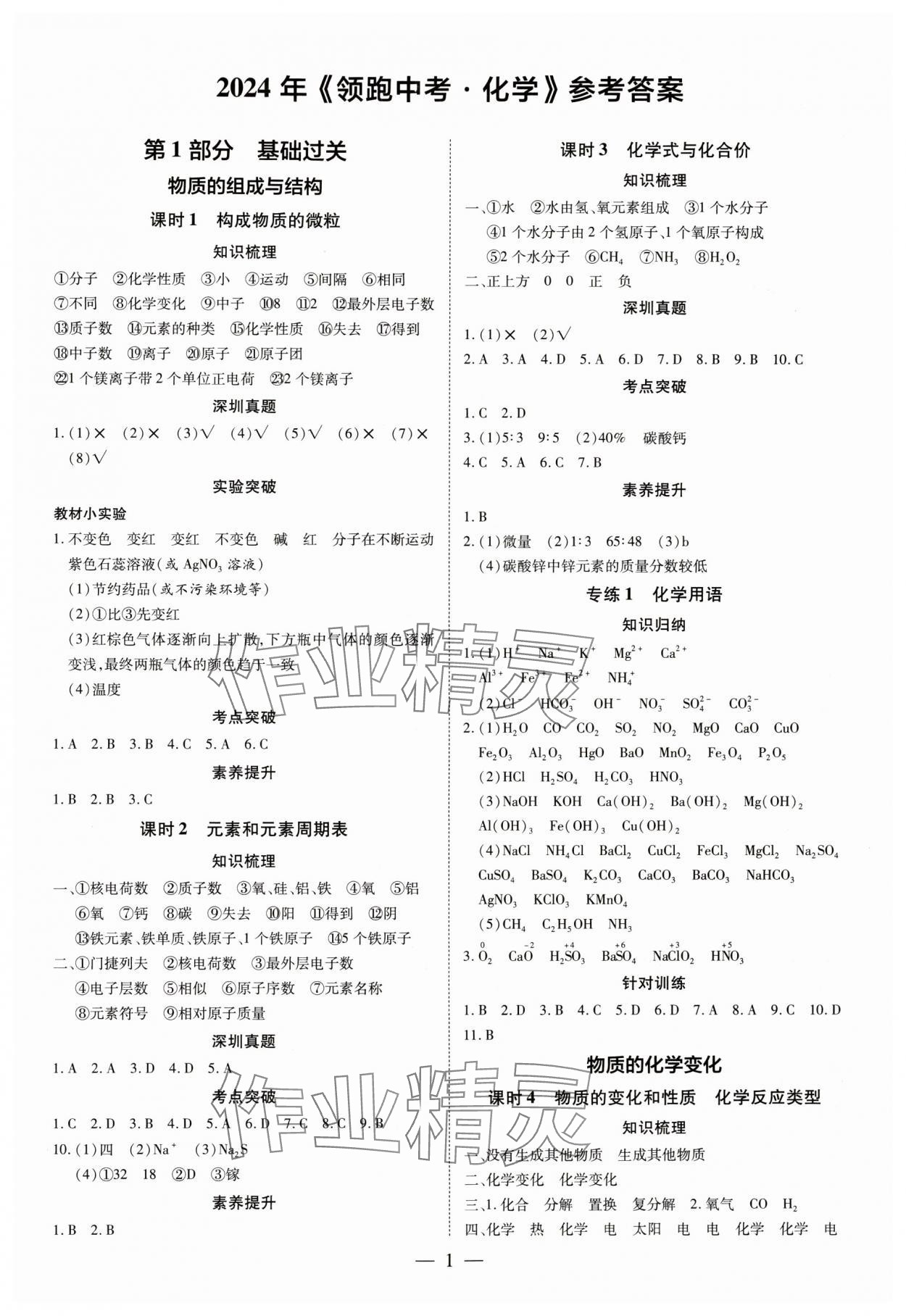 2024年領(lǐng)跑中考化學(xué)深圳專版 第1頁