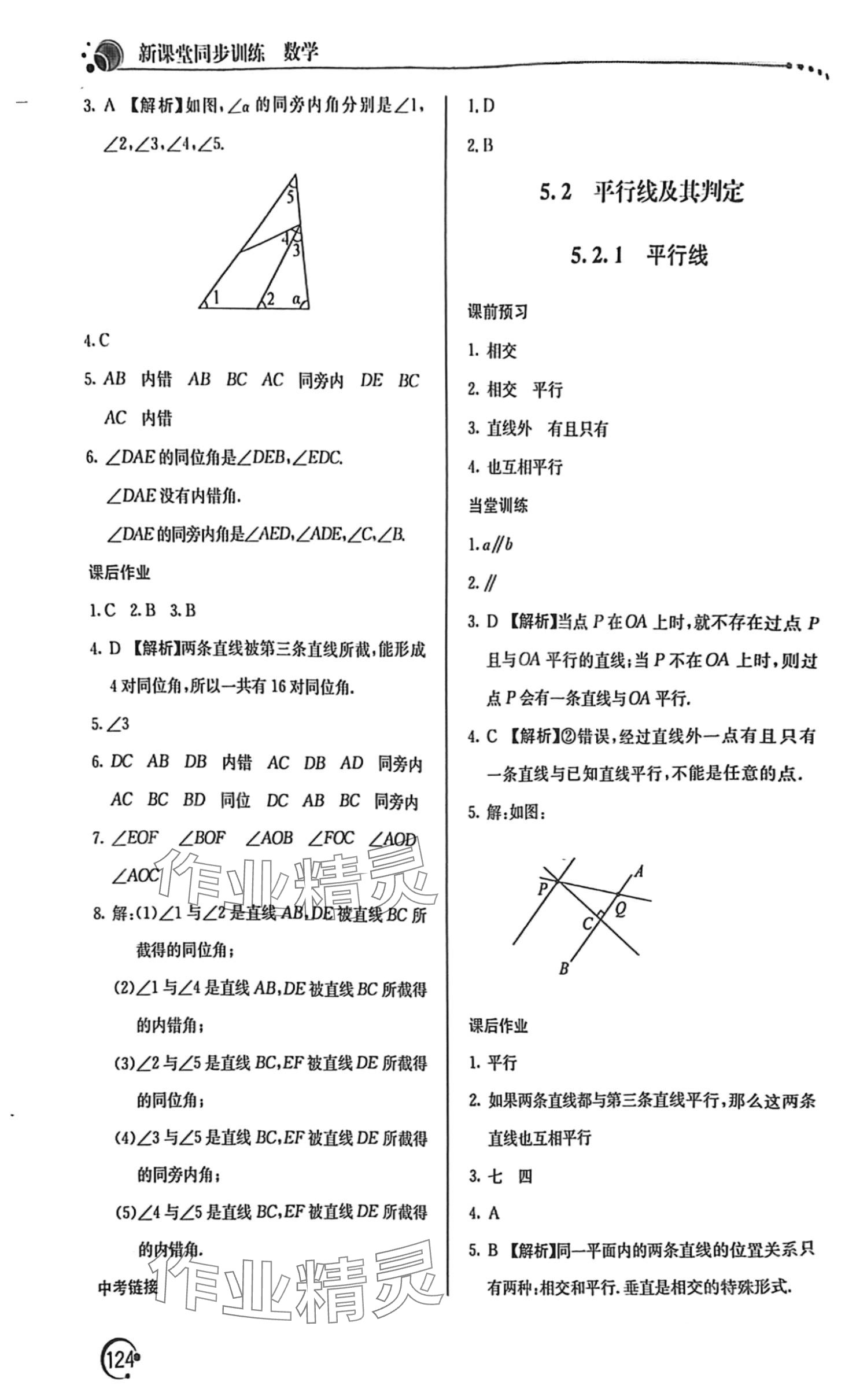 2024年新课堂同步训练七年级数学下册人教版 第3页