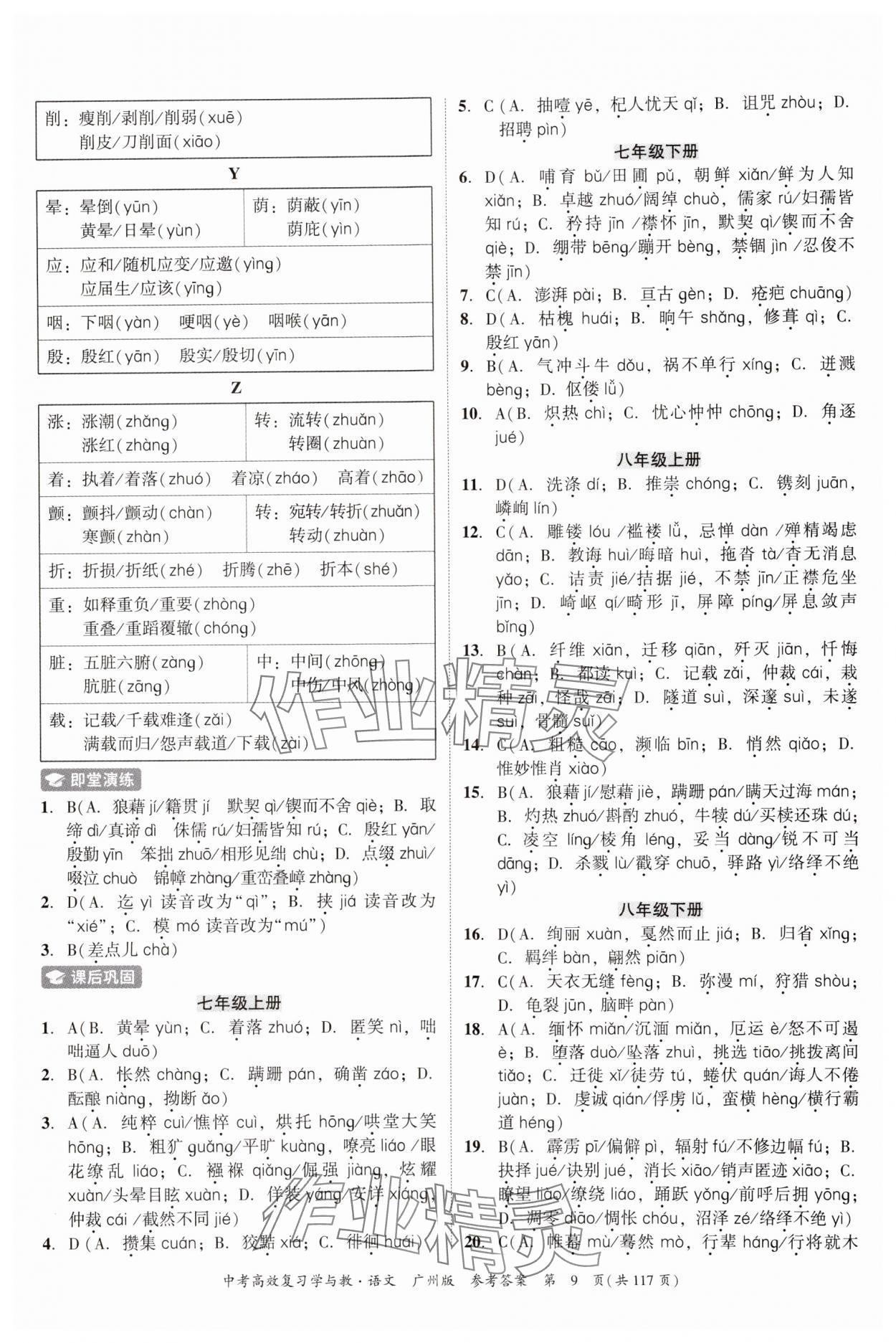 2024年中考高效復(fù)習(xí)學(xué)與教語文廣州專版 參考答案第9頁