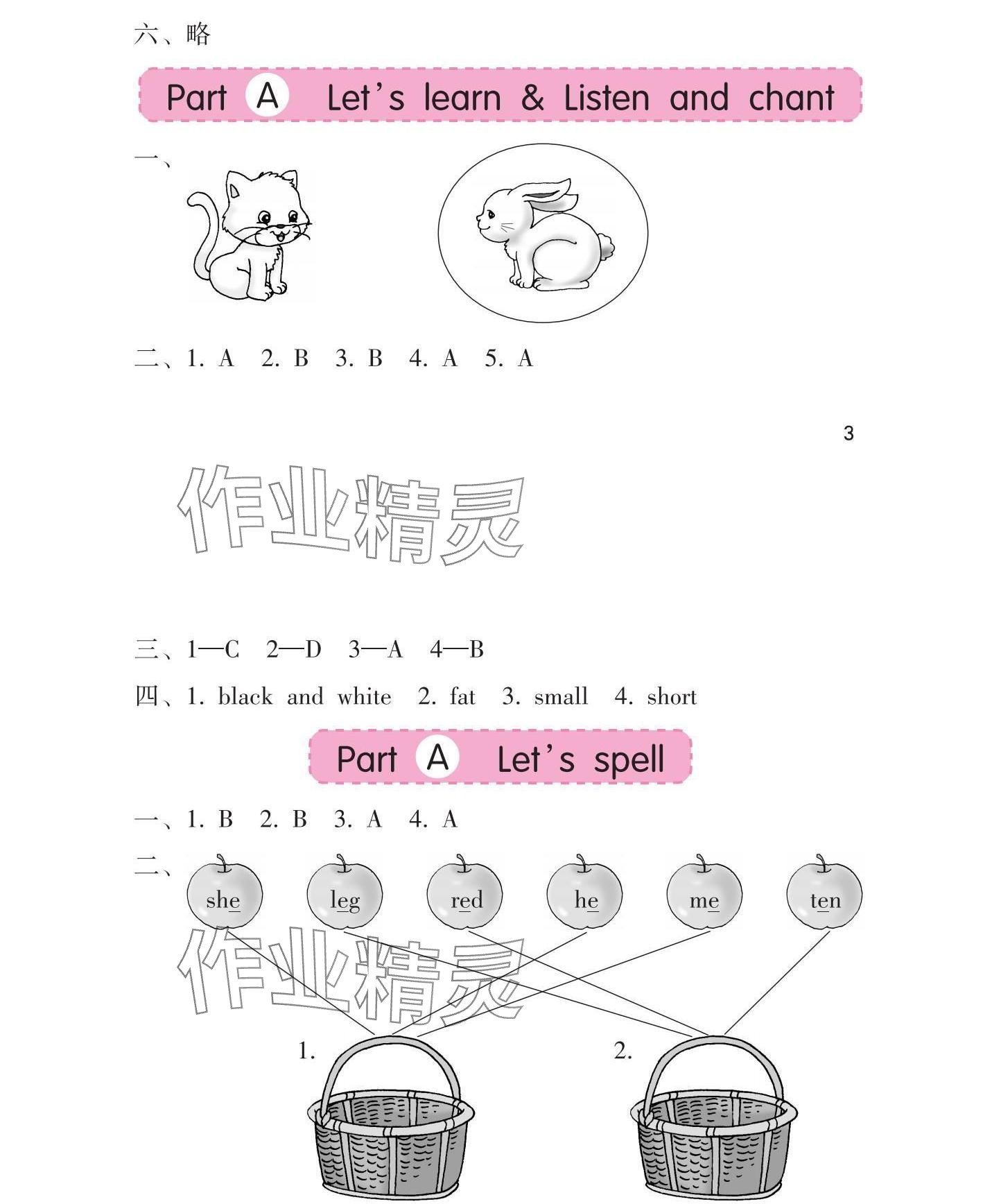 2025年學(xué)習(xí)與鞏固三年級英語下冊人教版 參考答案第4頁
