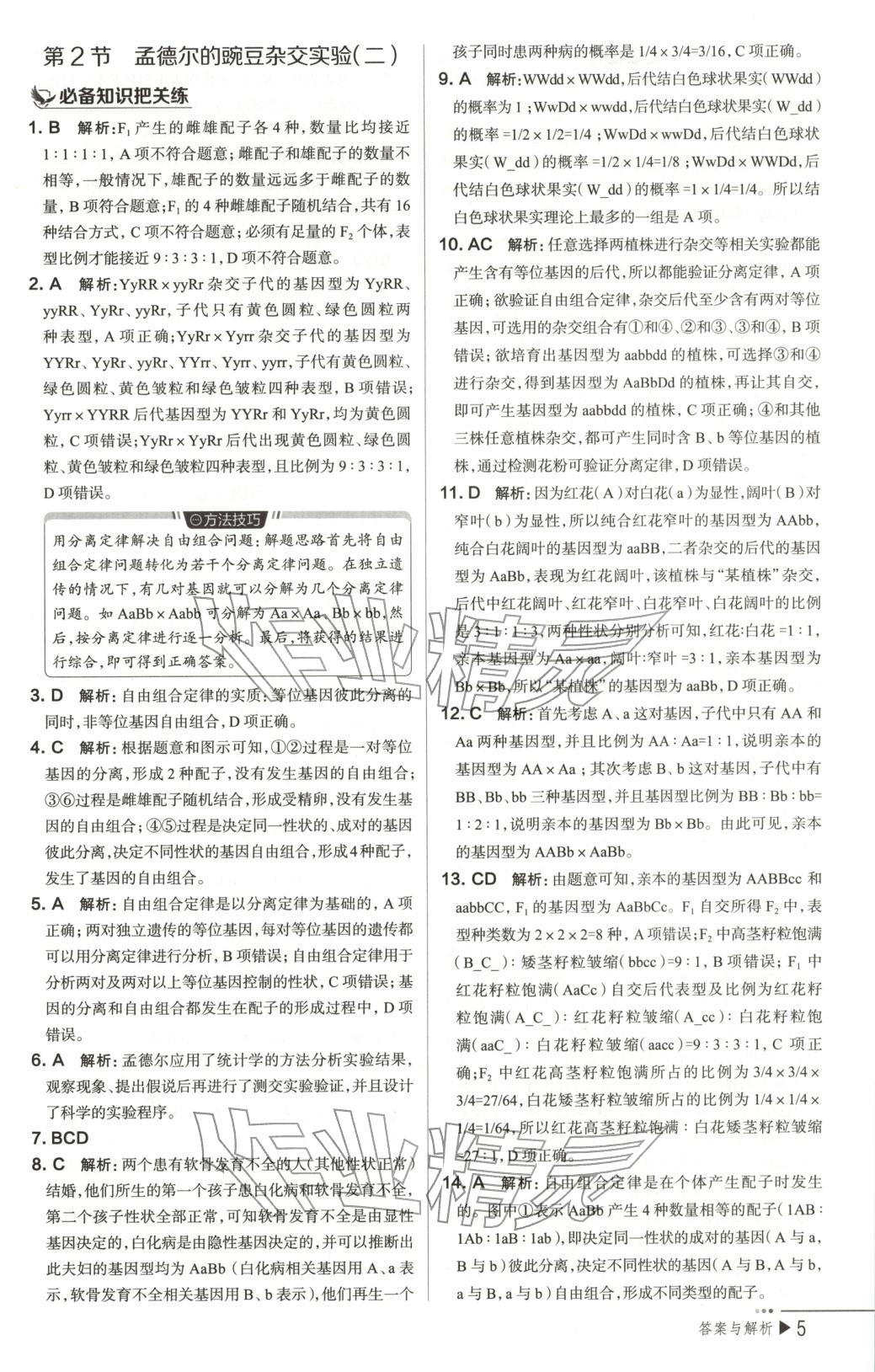 2026年把關(guān)題高中生物必修第二冊(cè)人教版&nbsp;第6頁