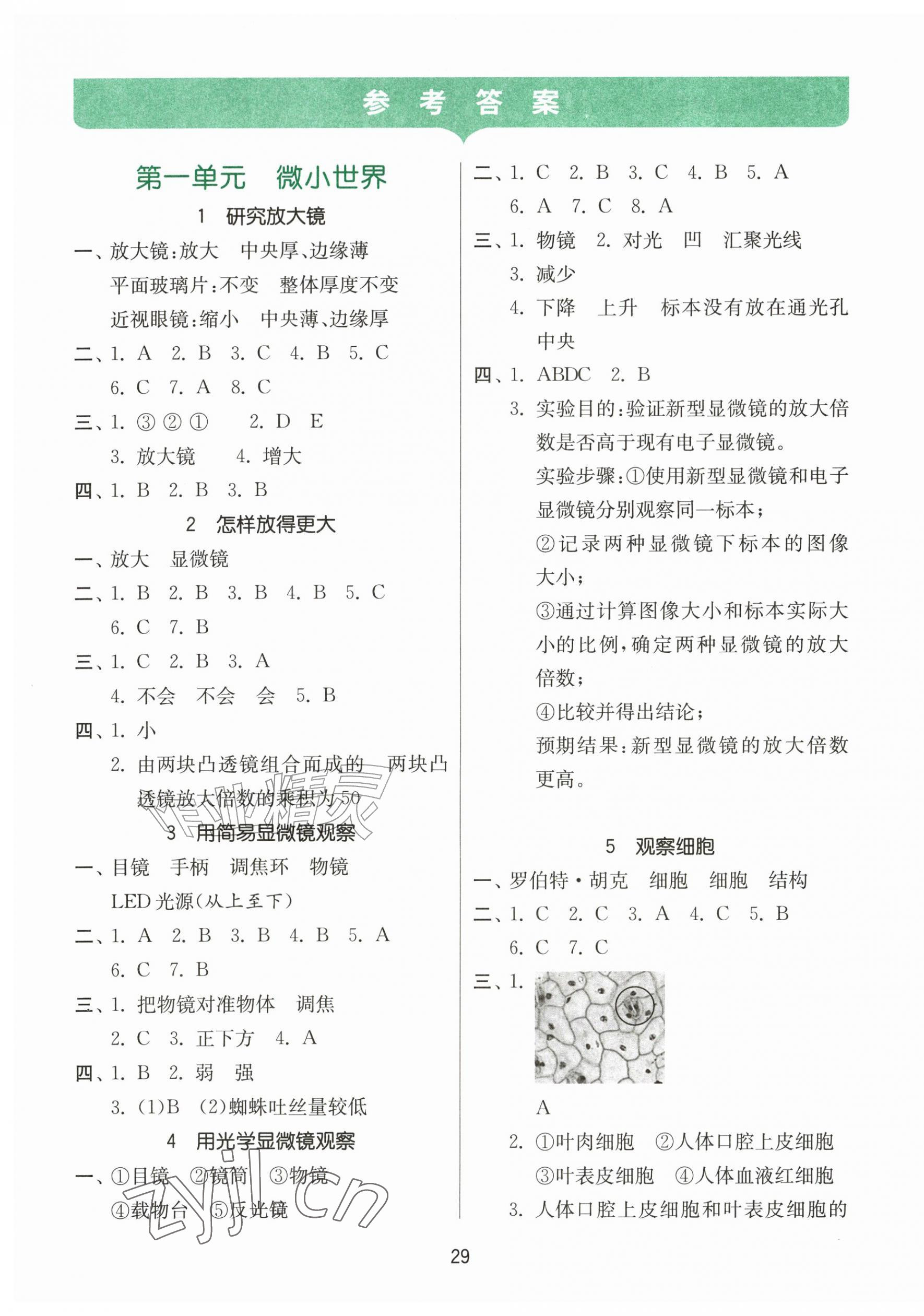 2026年课时训练江苏凤凰科学技术出版社五年级上册教科版&nbsp;参考答案第1页