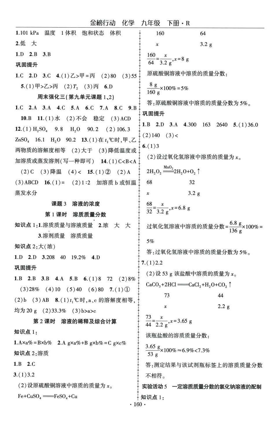 2024年金榜行動(dòng)九年級(jí)化學(xué)下冊(cè)人教版 第4頁(yè)