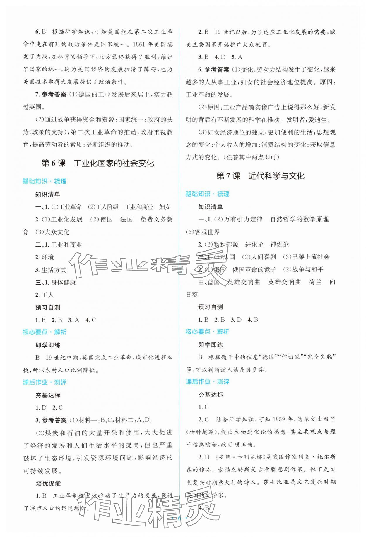 2024年同步解析與測評學(xué)考練九年級歷史下冊人教版精編版 第6頁