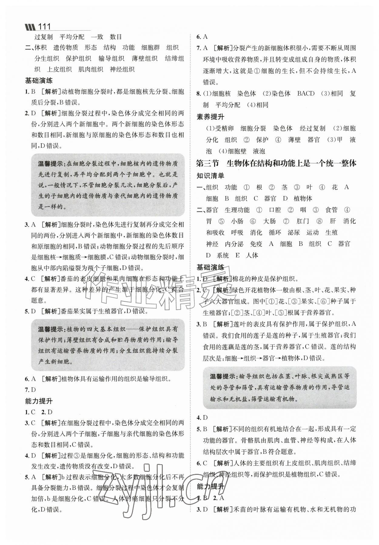 2026年同行学案七年级生物上册济南版&nbsp;参考答案第5页