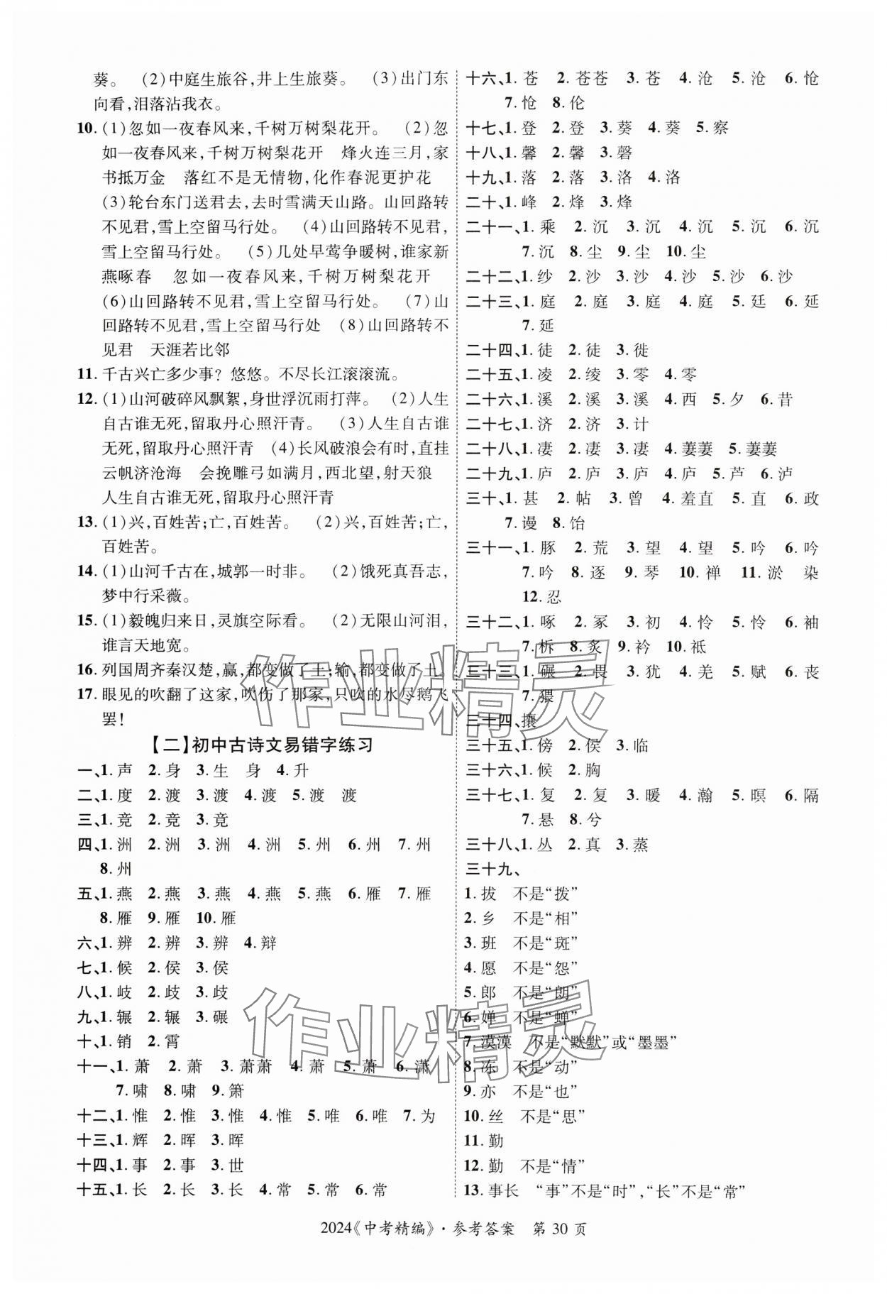 2024年中考精編語文廣東經濟出版社 第30頁
