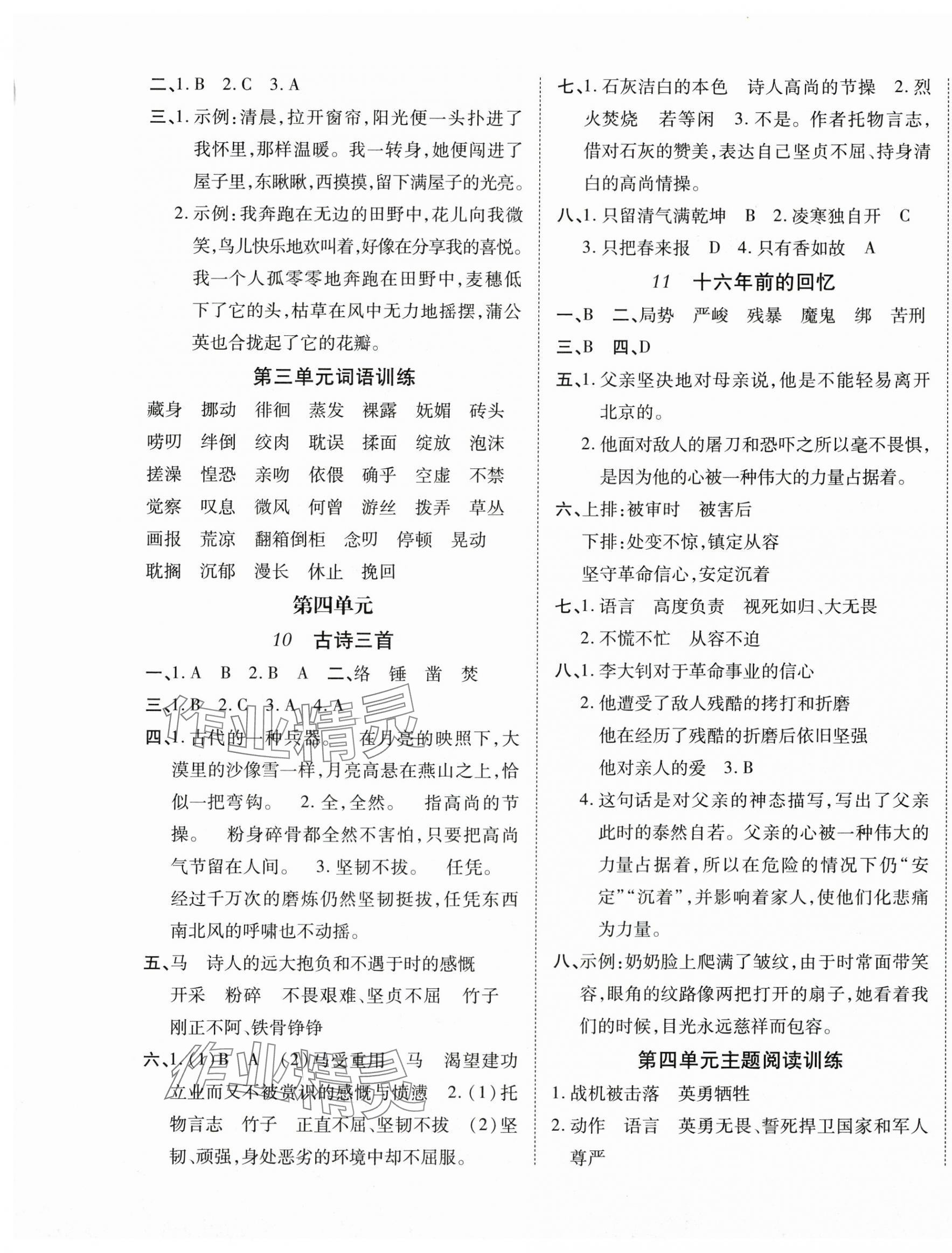 2025年學(xué)好語(yǔ)文課時(shí)作業(yè)優(yōu)化設(shè)計(jì)六年級(jí)語(yǔ)文下冊(cè)人教版 第5頁(yè)
