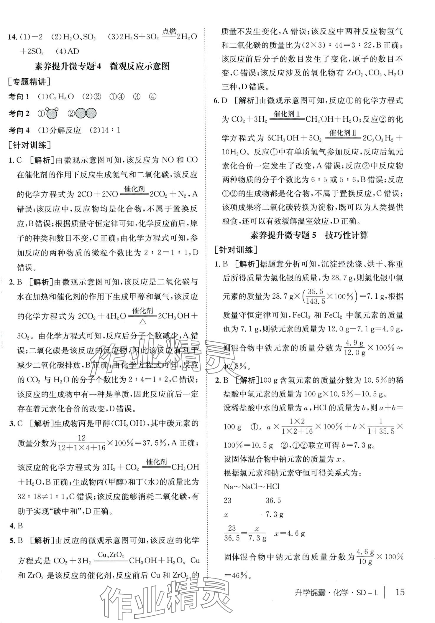 2024年升學錦囊化學中考魯教版山東專版 第15頁