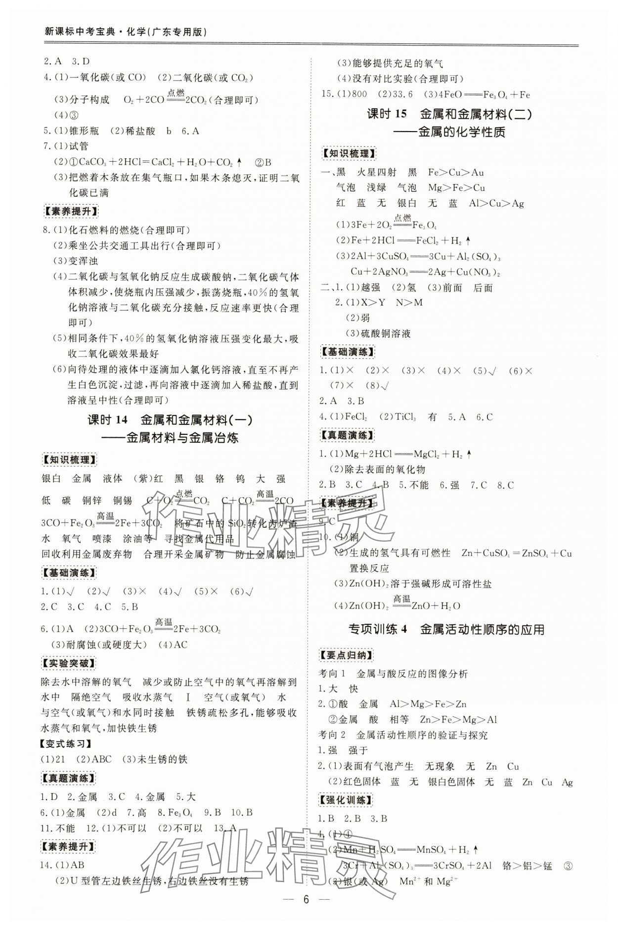 2025年中考宝典化学广东专用版 参考答案第6页