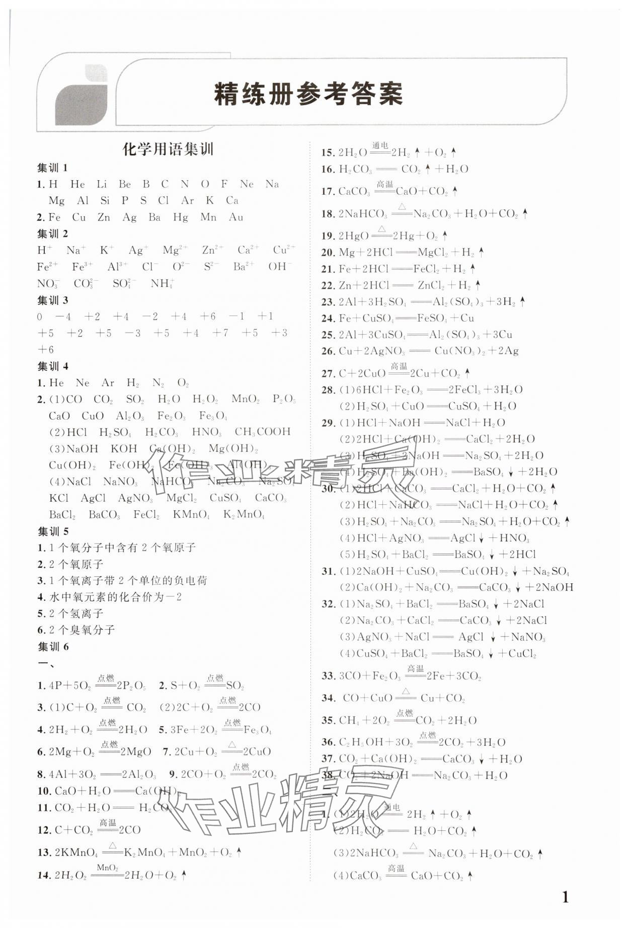 2025年优化指导化学中考广西专版 第1页