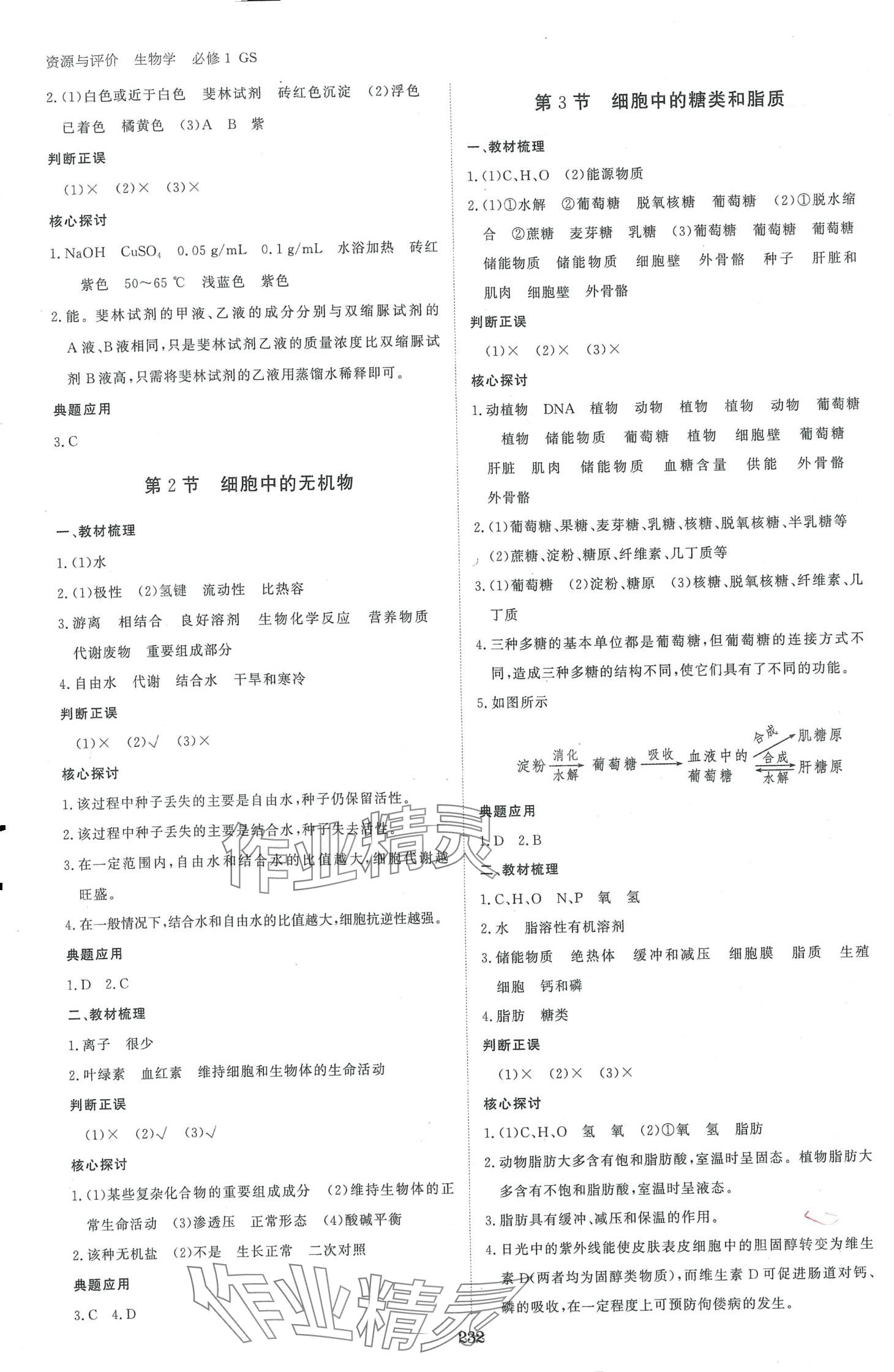 2024年資源與評價(jià)黑龍江教育出版社高中生物必修1人教版 第3頁