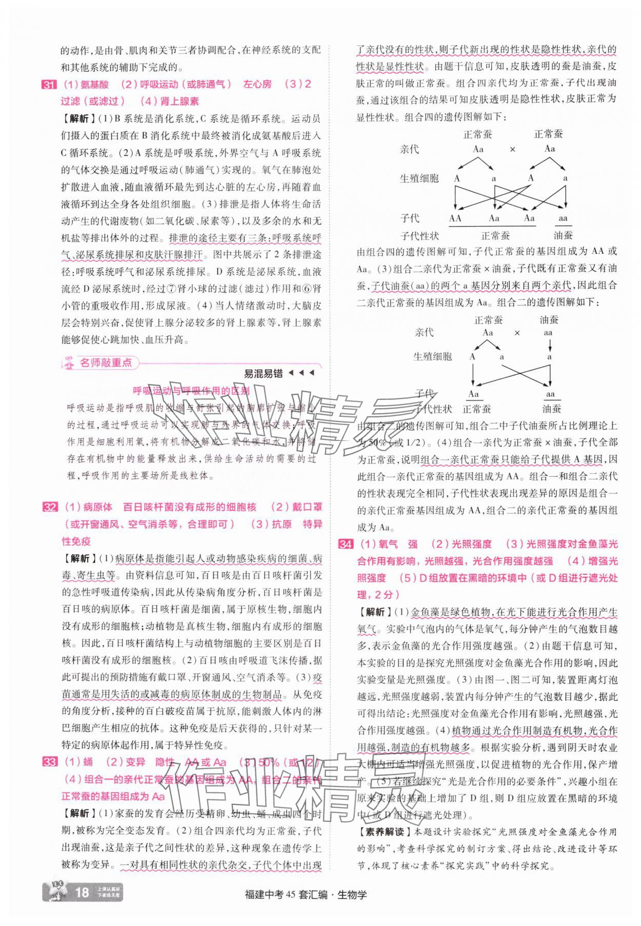 2025年金考卷福建中考45套匯編八年級生物 參考答案第18頁