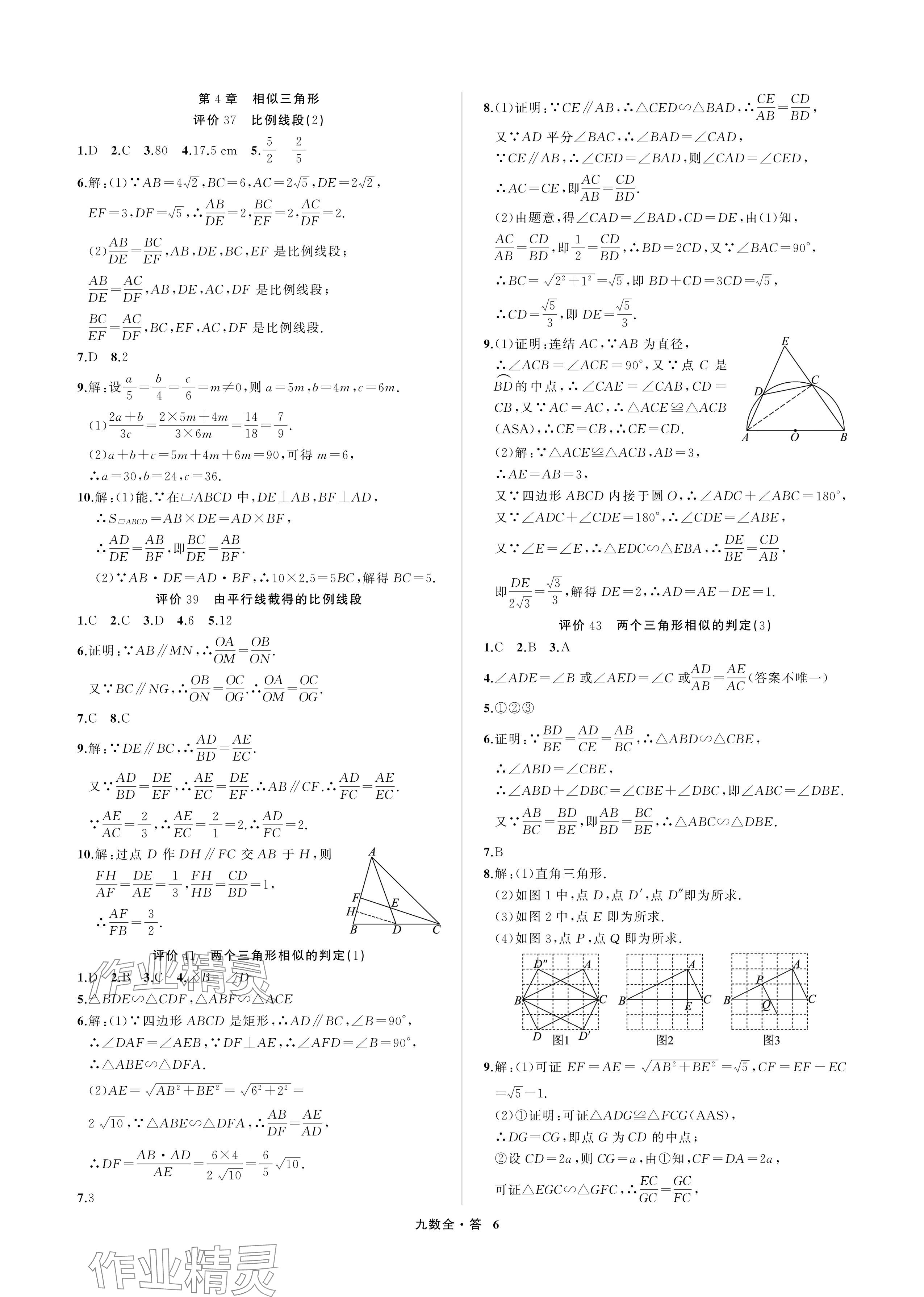 2024年名師面對面學科素養評價九年級數學全一冊浙教版 參考答案第6頁