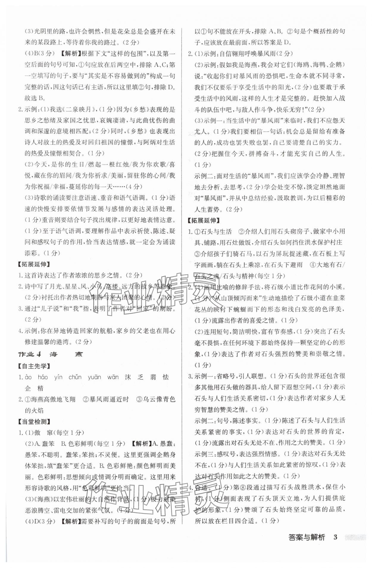 2025年啟東中學(xué)作業(yè)本九年級(jí)語文下冊人教版鹽城專版 參考答案第3頁