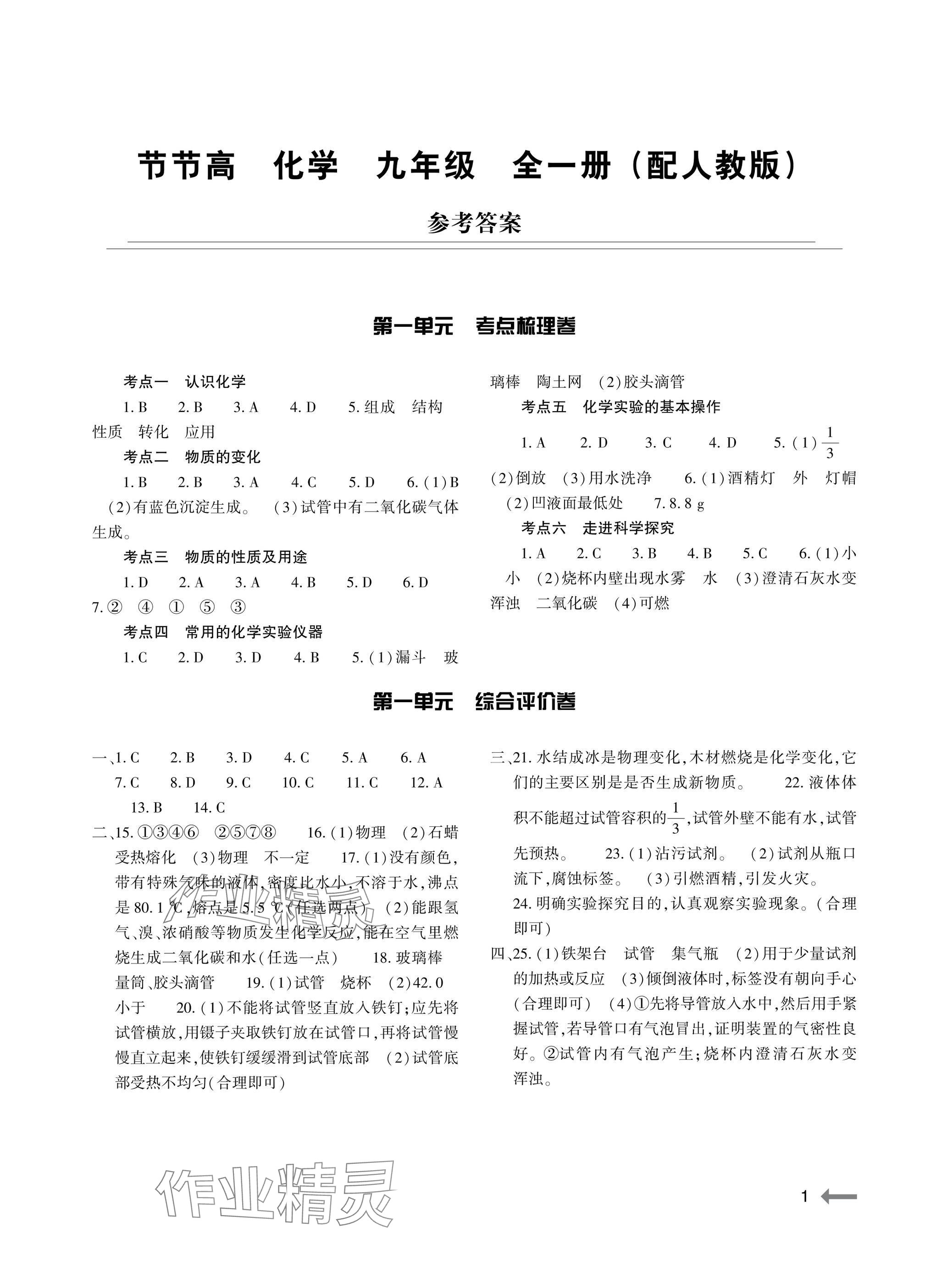 2025年节节高大象出版社九年级化学全一册人教版 参考答案第1页