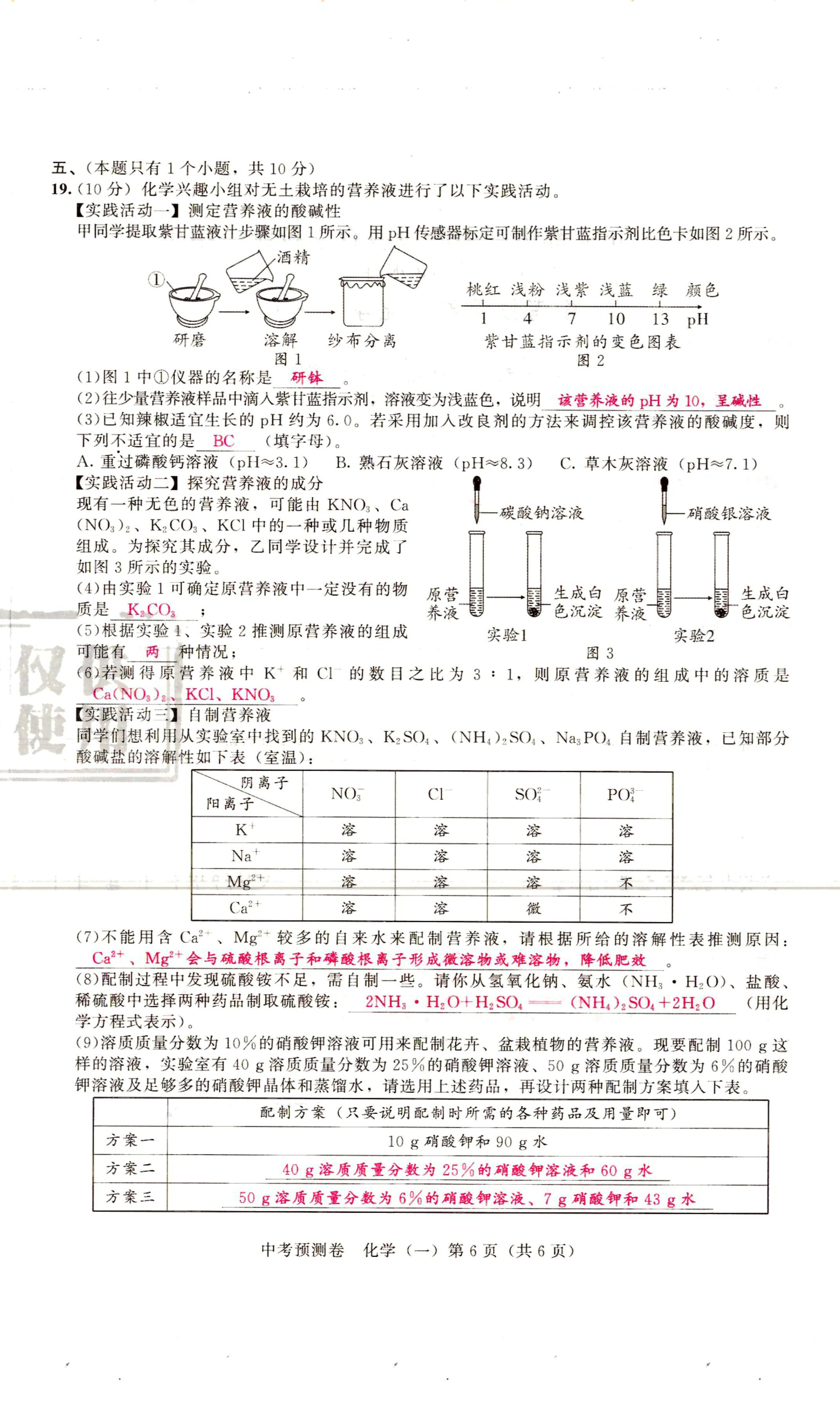 2024年中考預測卷化學 第6頁