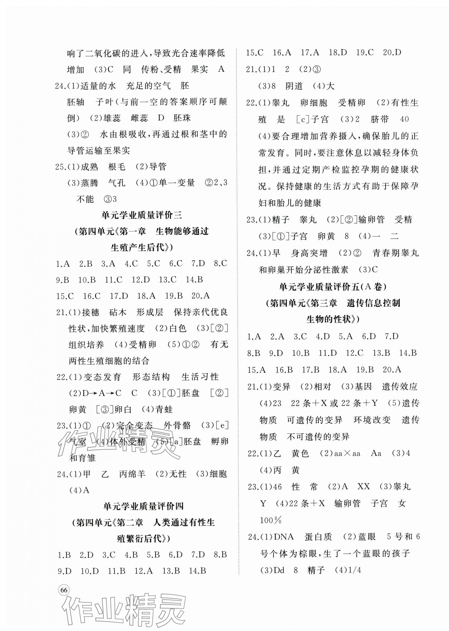 2025年精練課堂分層作業七年級生物下冊濟南版 參考答案第3頁