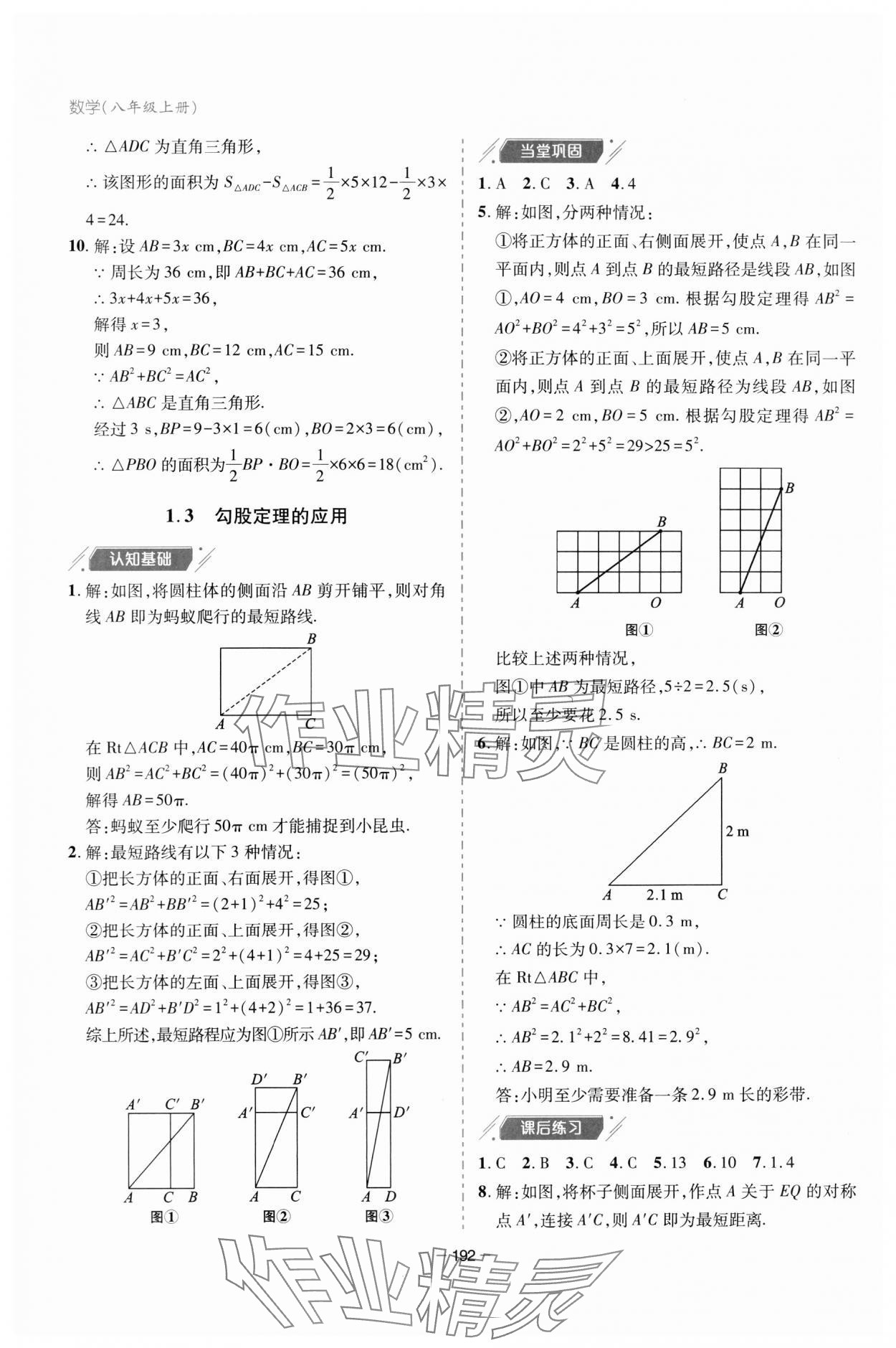 2023年新課堂學(xué)習(xí)與探究八年級數(shù)學(xué)上冊北師大版 參考答案第4頁