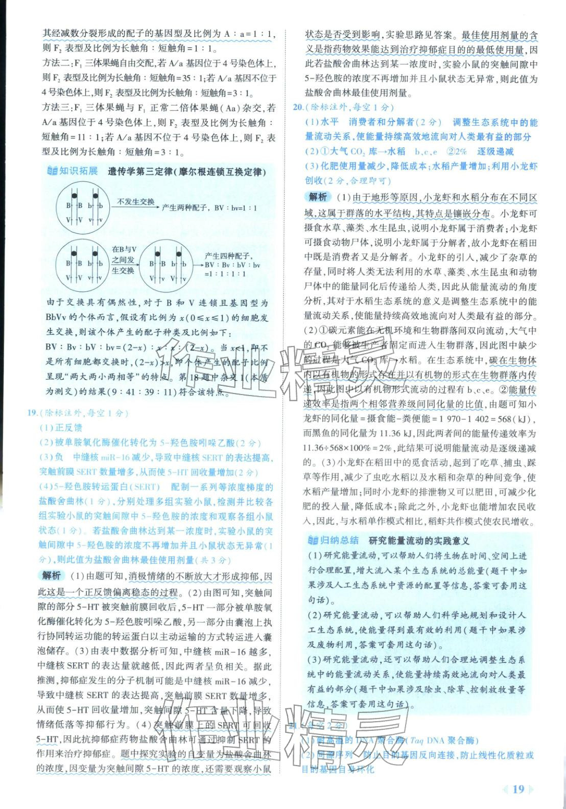 2026年53金卷优选卷汇编高中生物陕晋青宁专版&nbsp;第19页