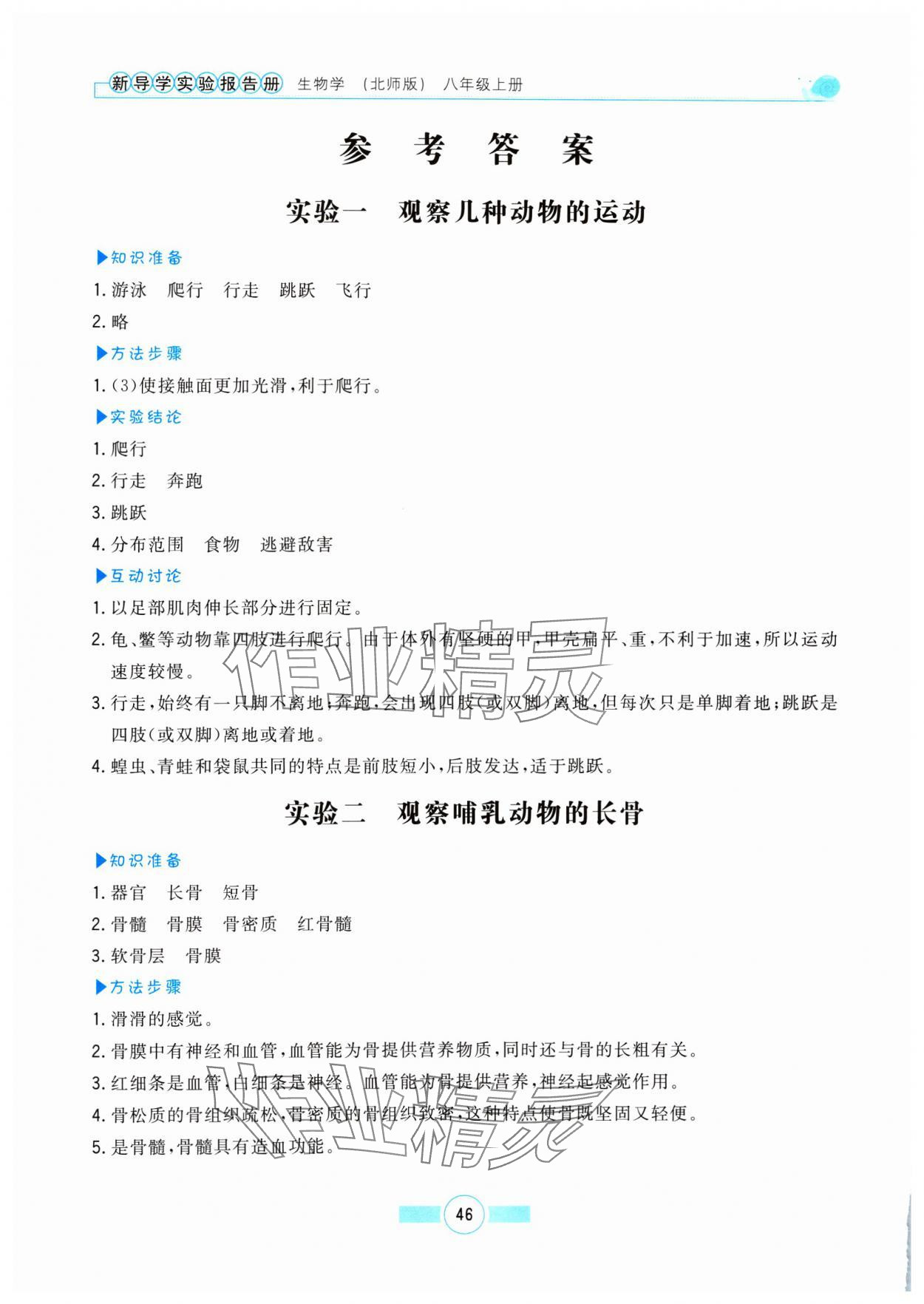 2024年新導學實驗報告冊八年級生物上冊北師大版 參考答案第1頁