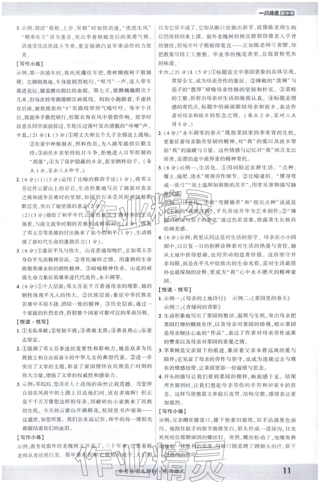 2026年一戰(zhàn)成名新中考語文陜西專版&nbsp;第10頁