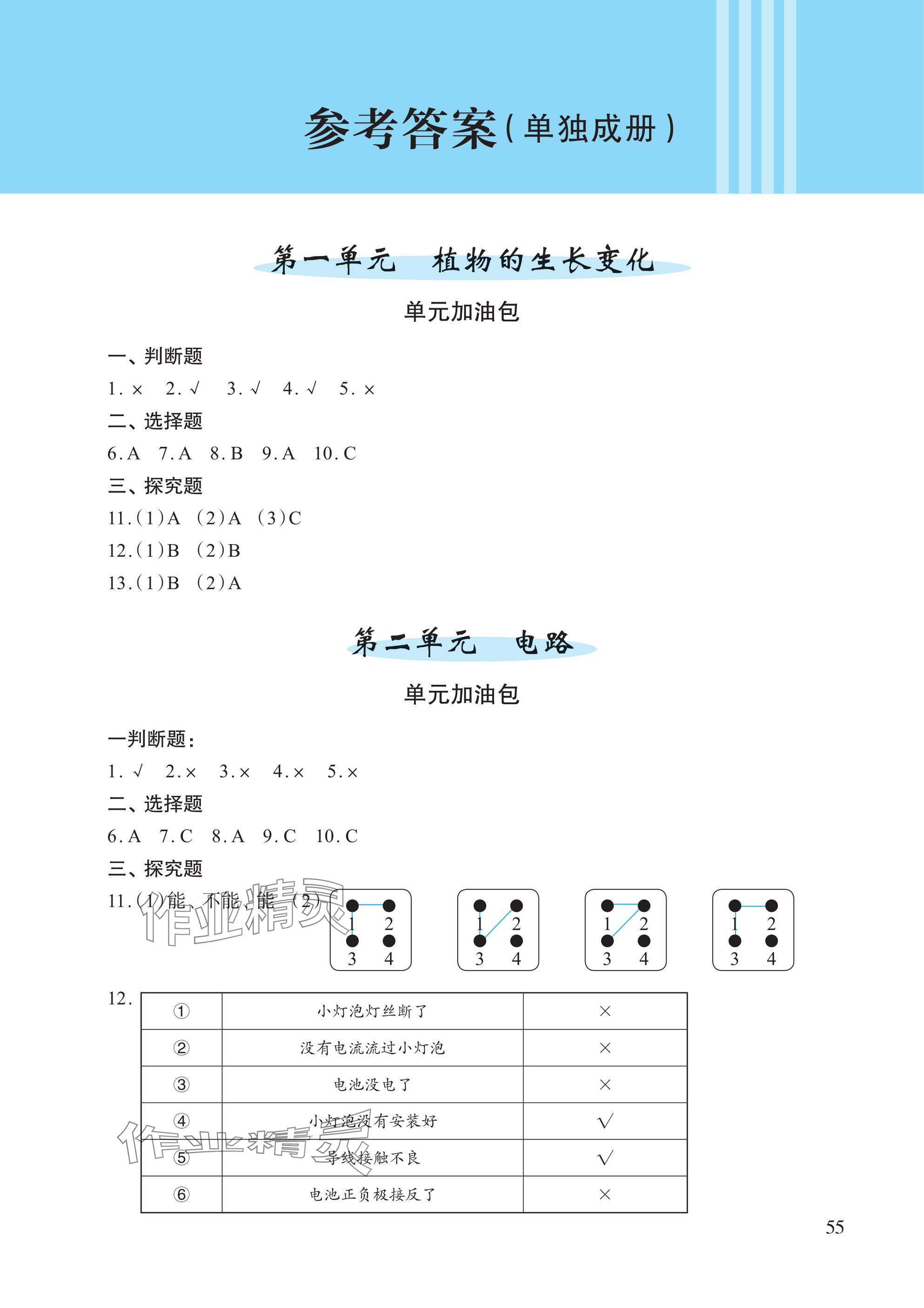 2025年小學單元素養作業四年級科學下冊教科版 參考答案第1頁