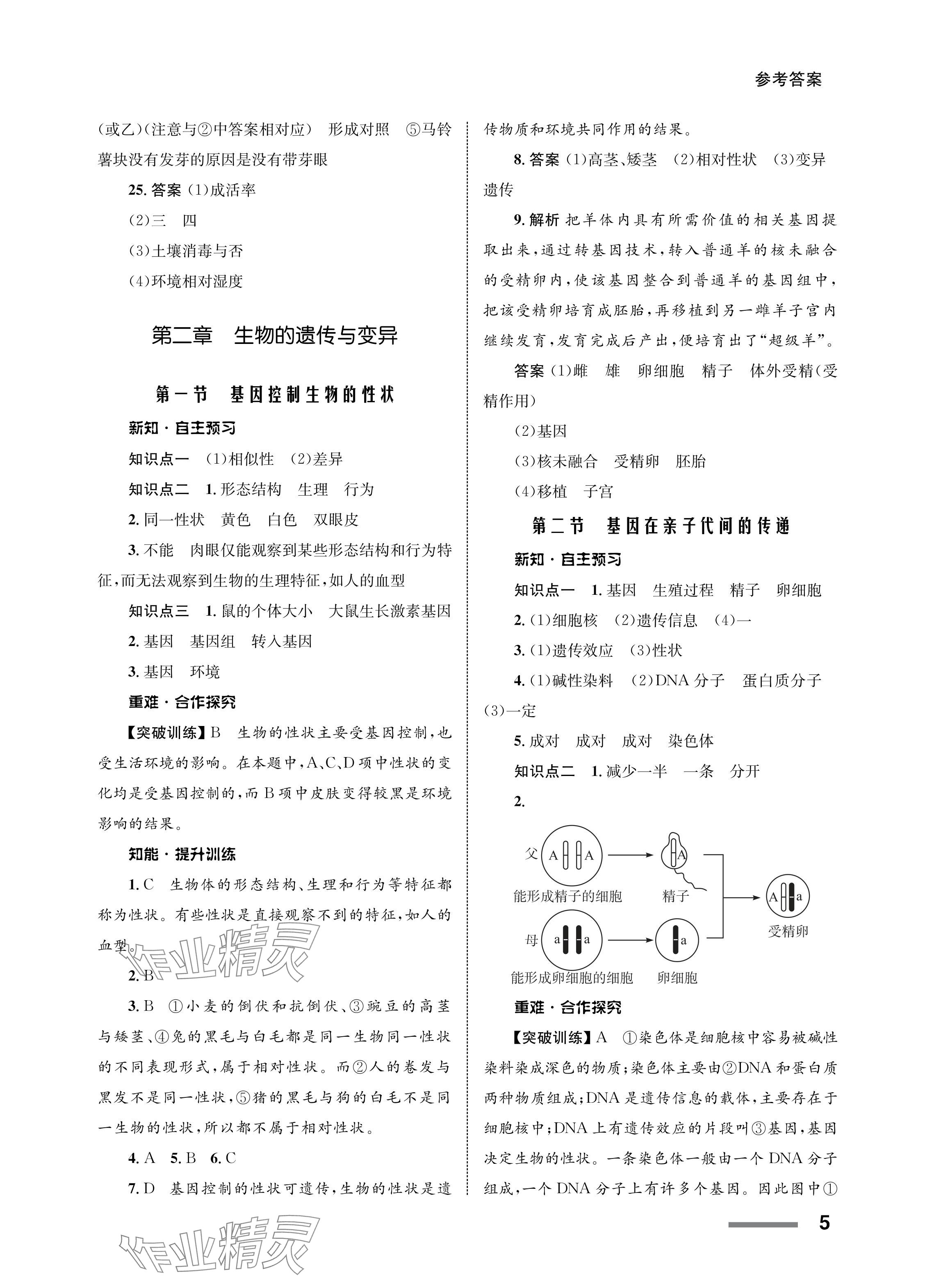 2024年配套综合练习甘肃八年级生物下册人教版 参考答案第5页