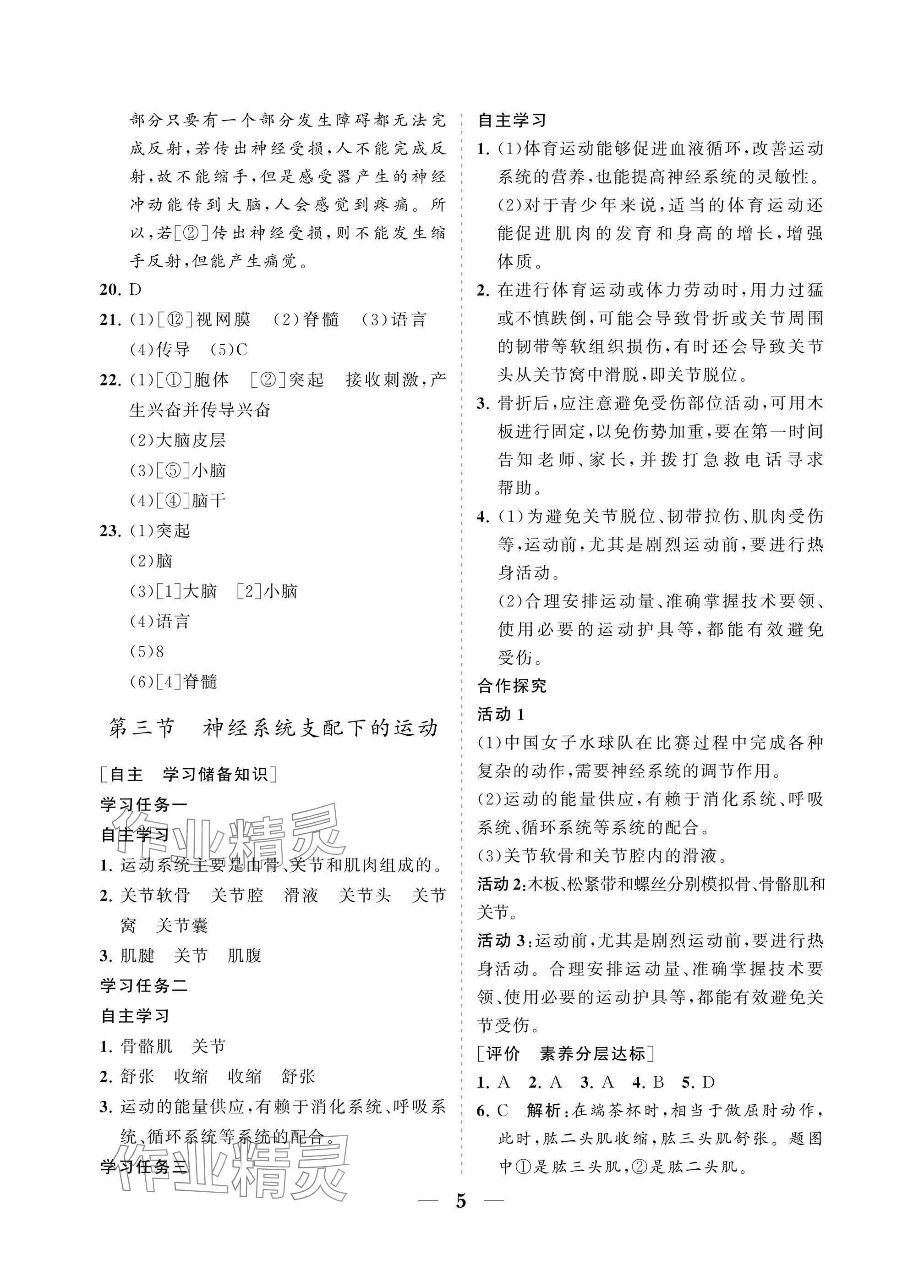 2025年配套综合练习甘肃八年级生物上册人教版 参考答案第5页