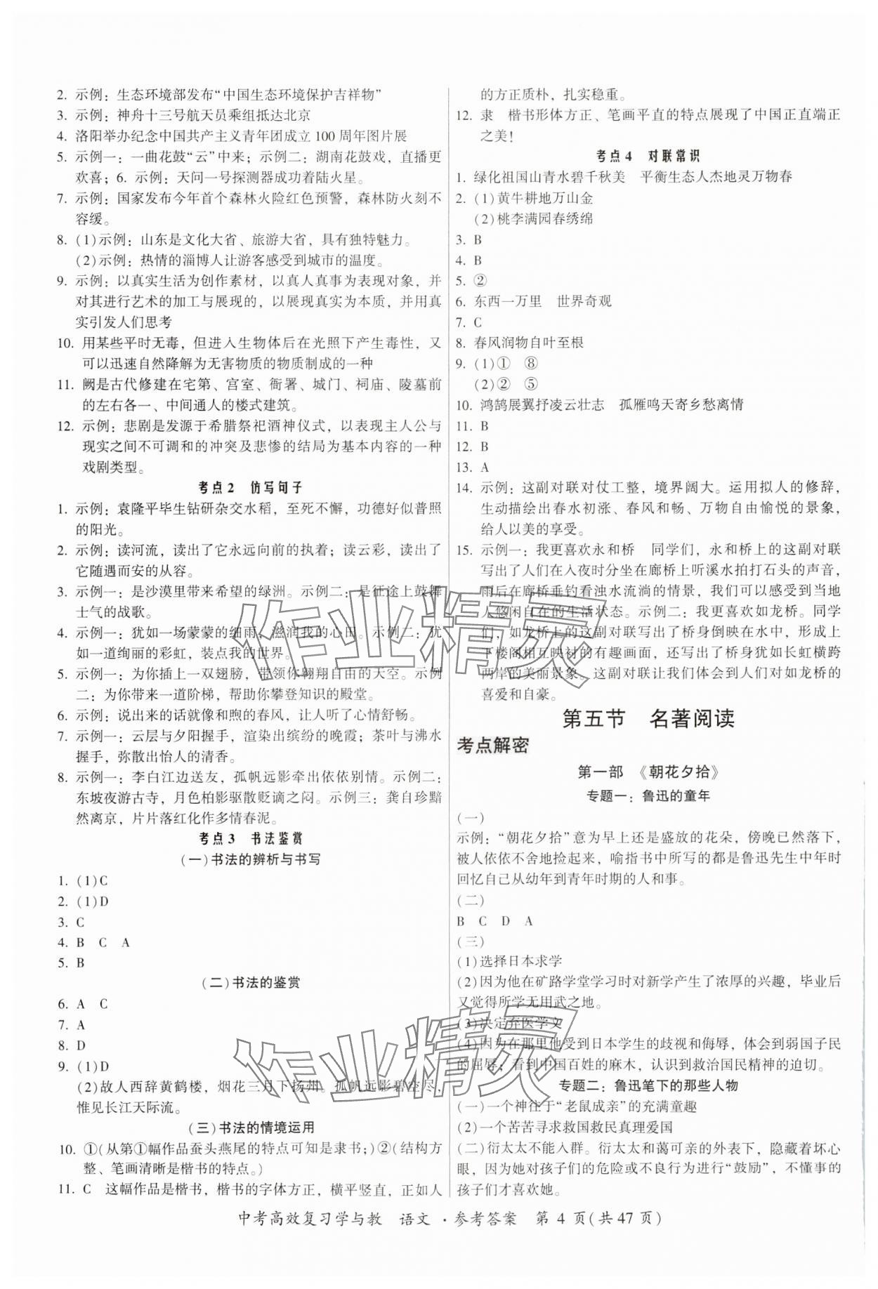 2024年中考高效復習學與教語文廣東專版 參考答案第4頁